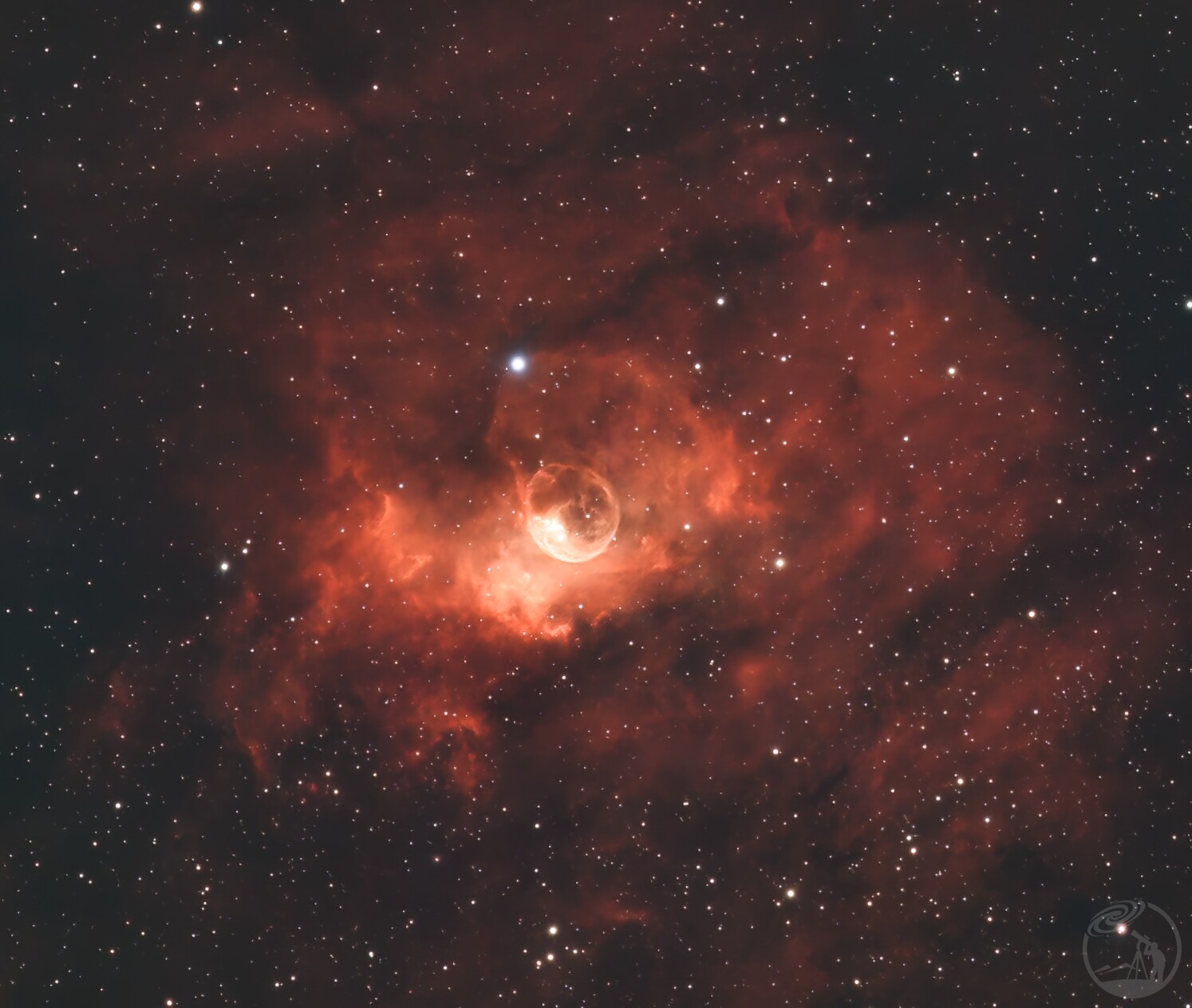 入坑一月打卡作