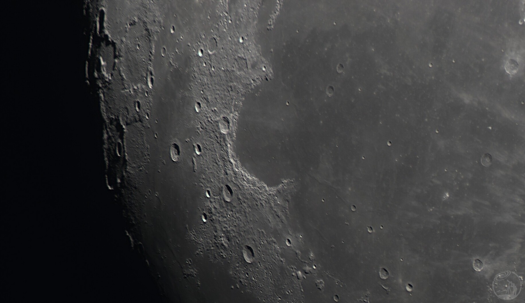 信达小黑拍月亮