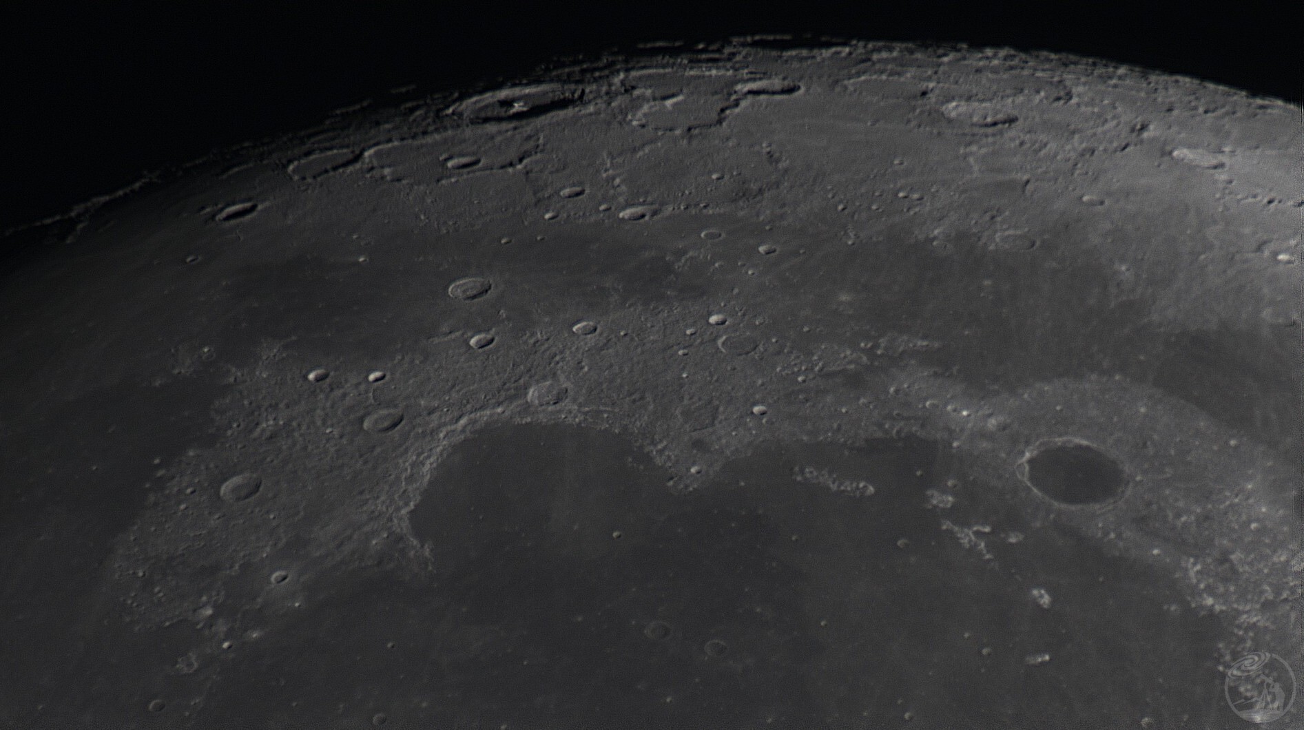 信达小黑拍月亮