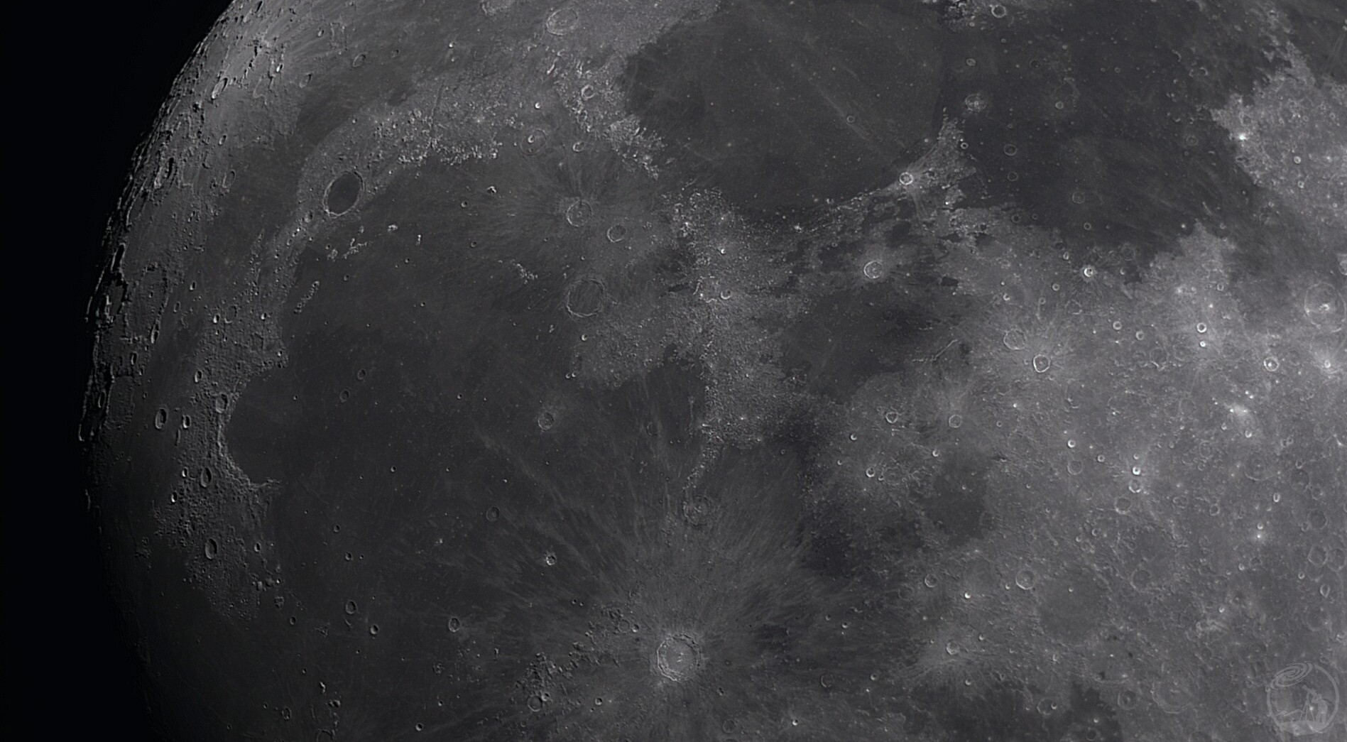 信达小黑拍月亮