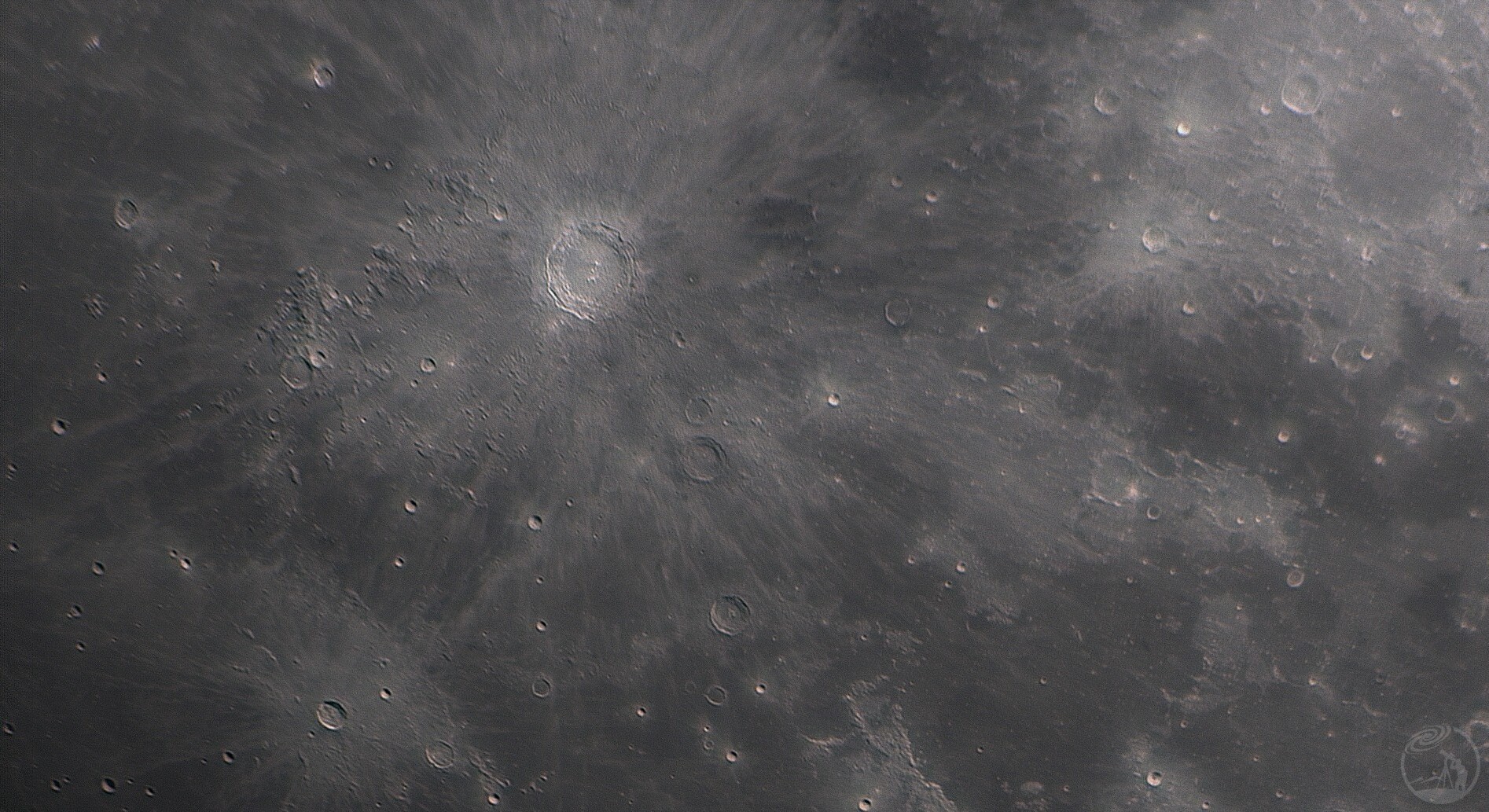 信达小黑拍月亮