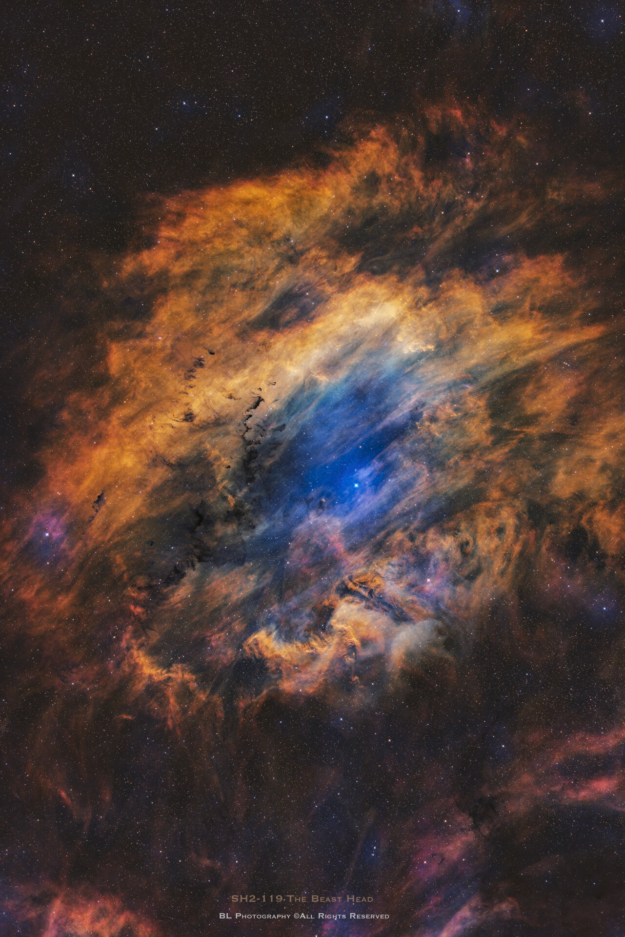 Sh2-119 神兽之头