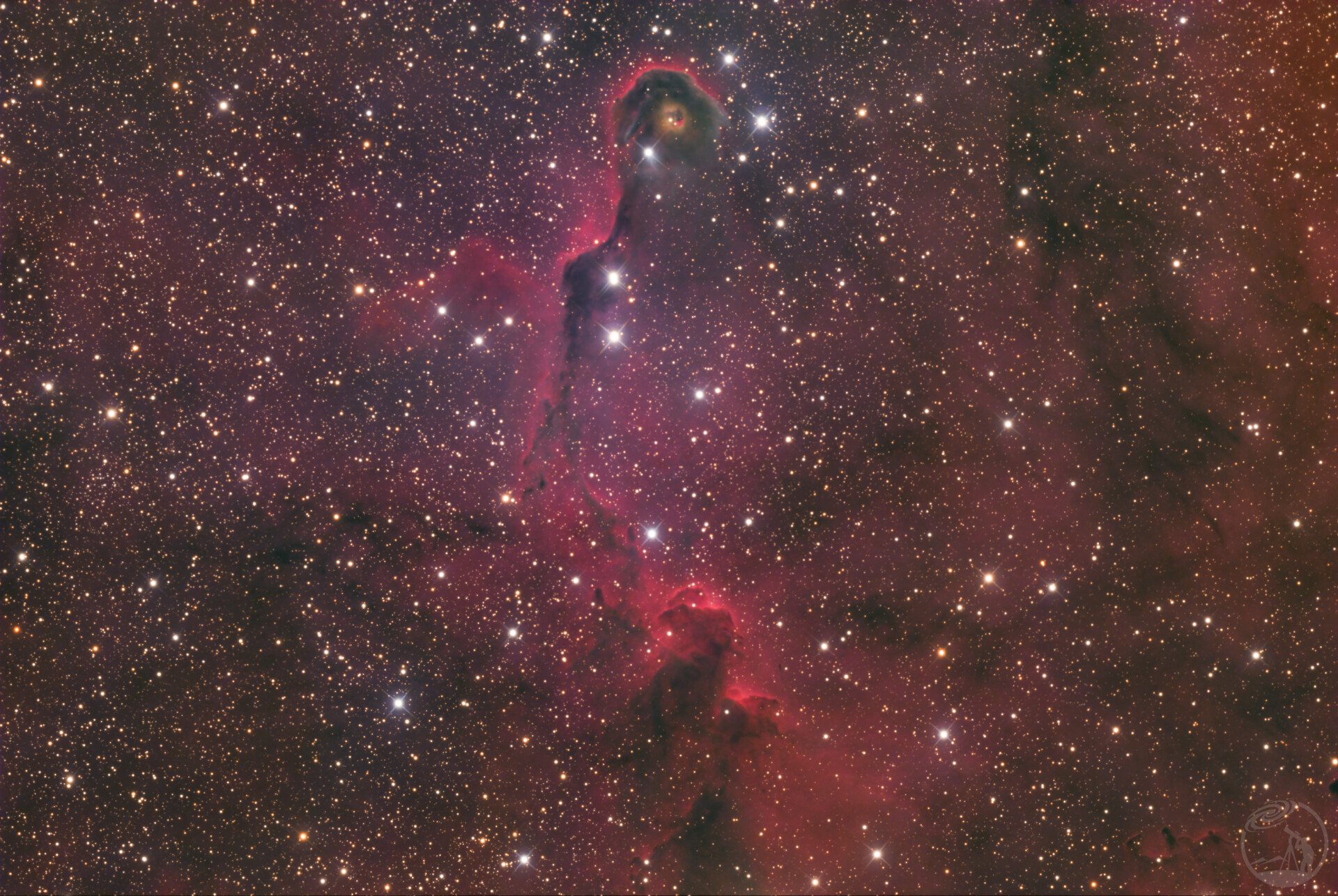 IC 1396 象鼻局部