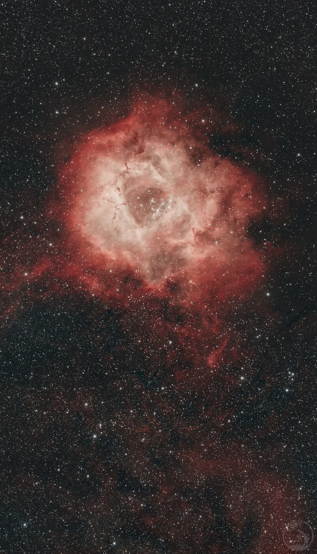 佳能328拍摄的全彩玫瑰星云