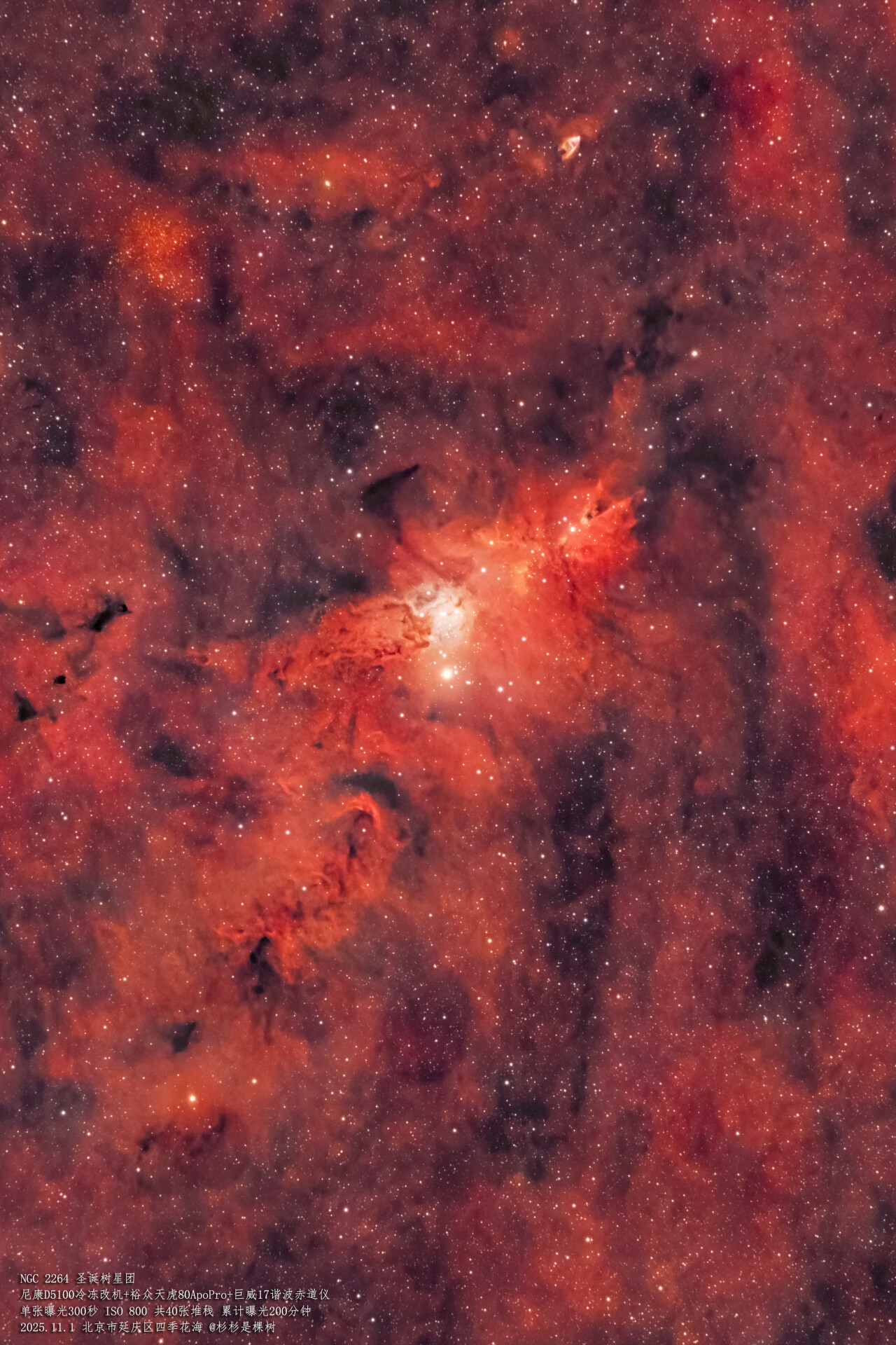 深空日记·圣诞树星团