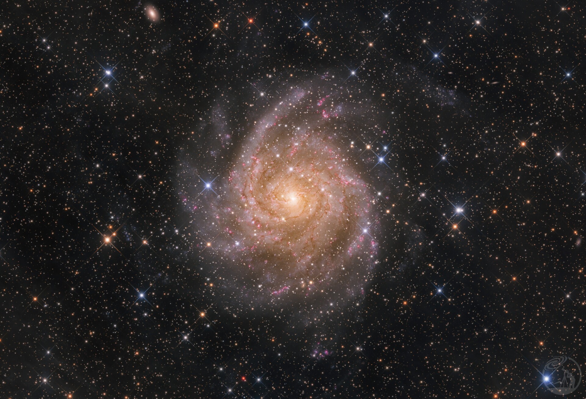 IC 342 隐藏星系
