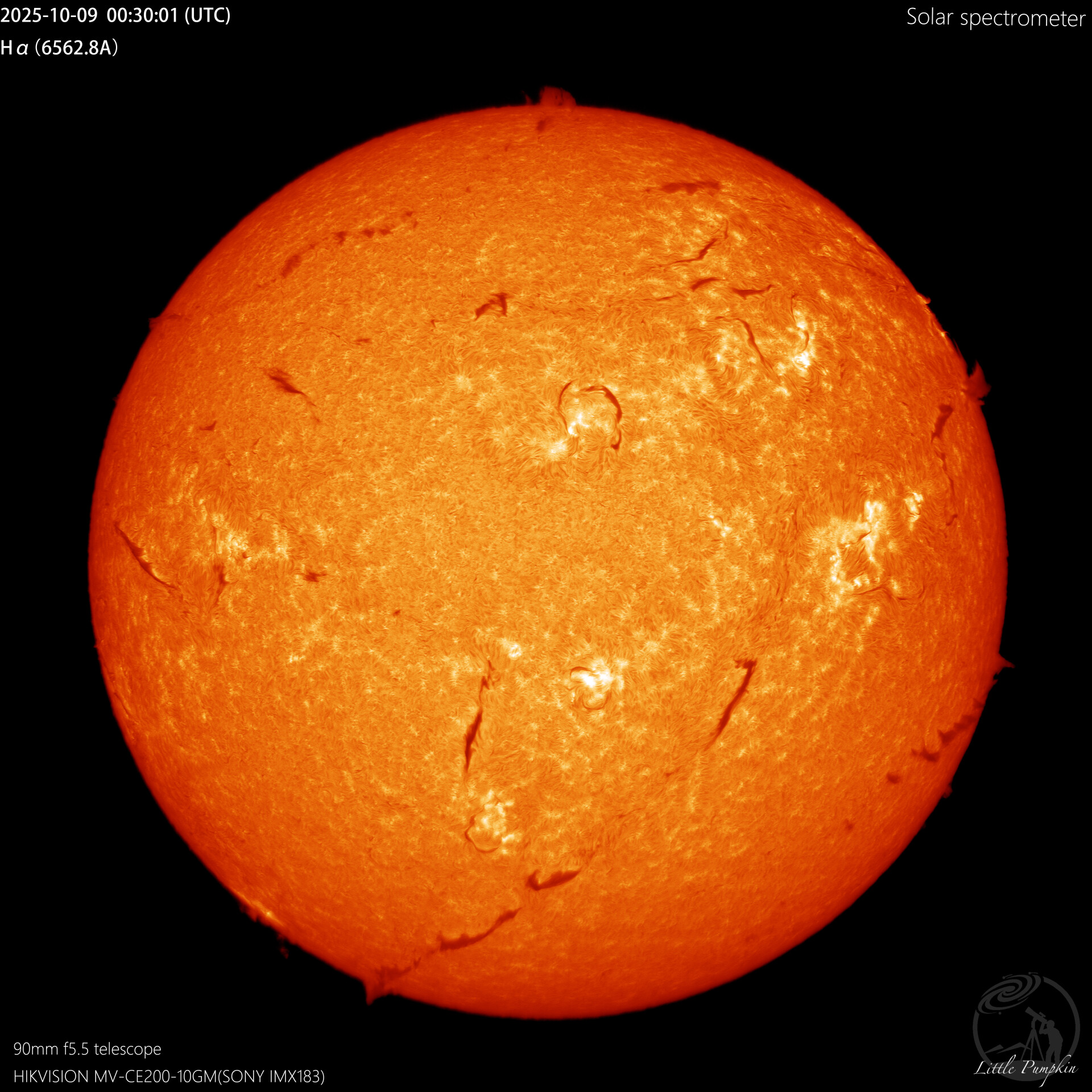 光谱仪线扫全日面