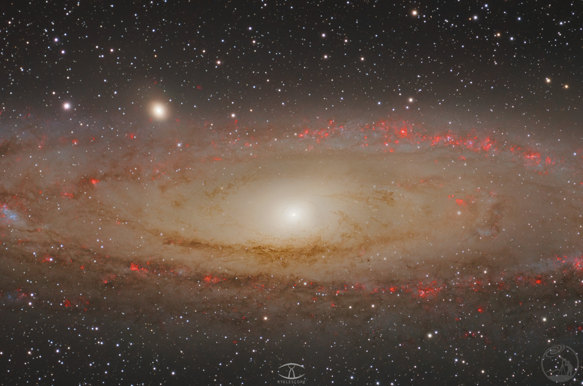 M31