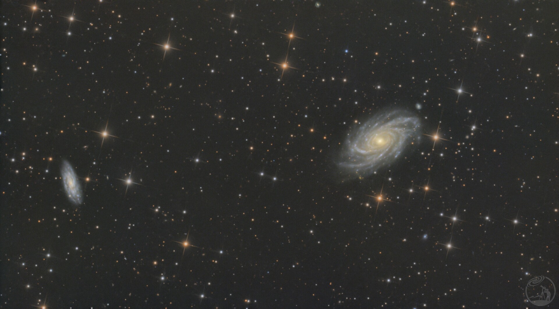 Ngc2336