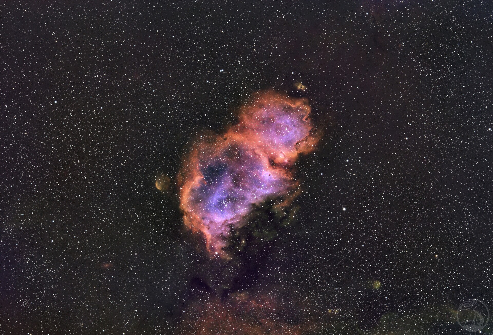 是谁的灵魂IC1848