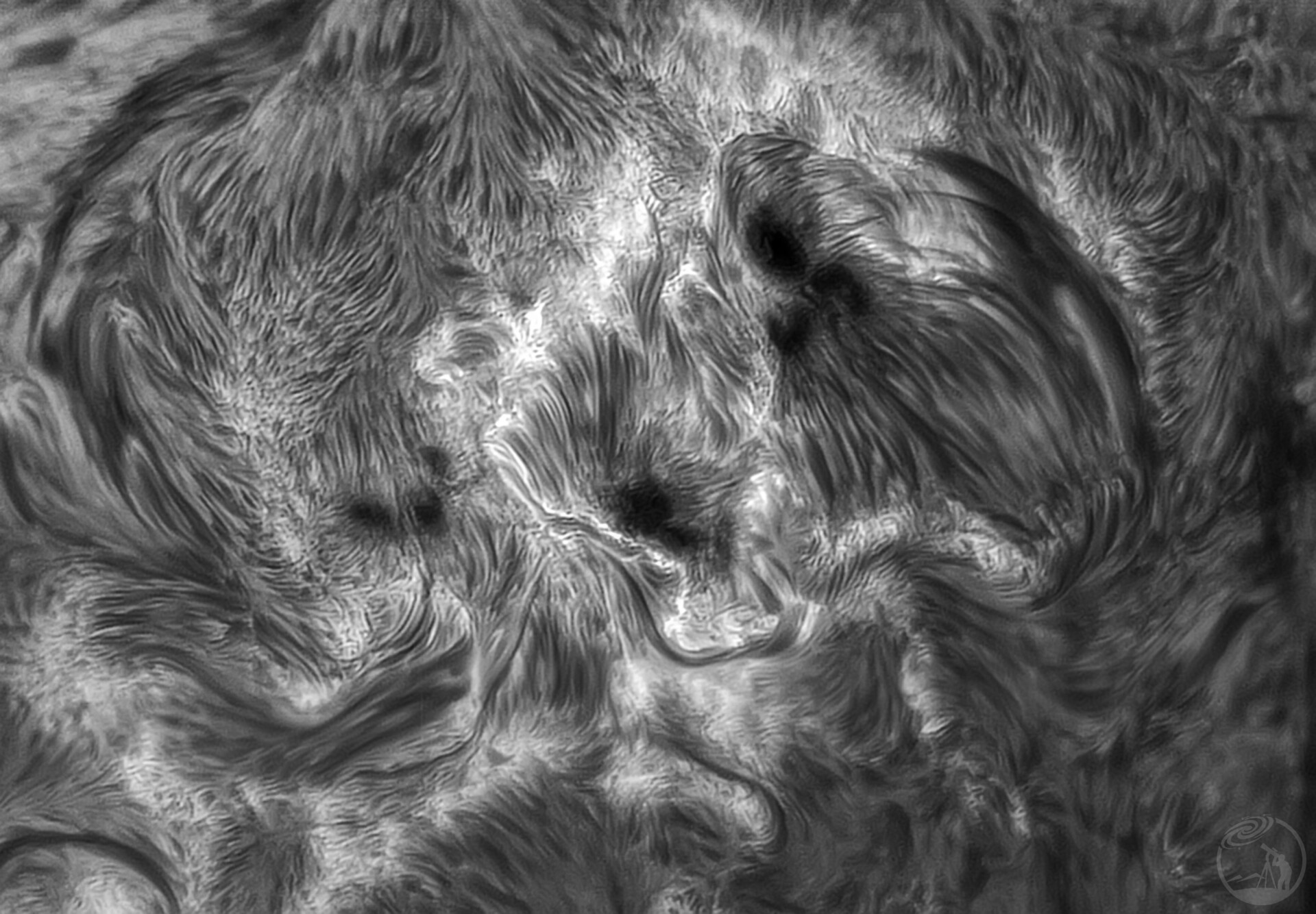 太阳黑子活动区4274