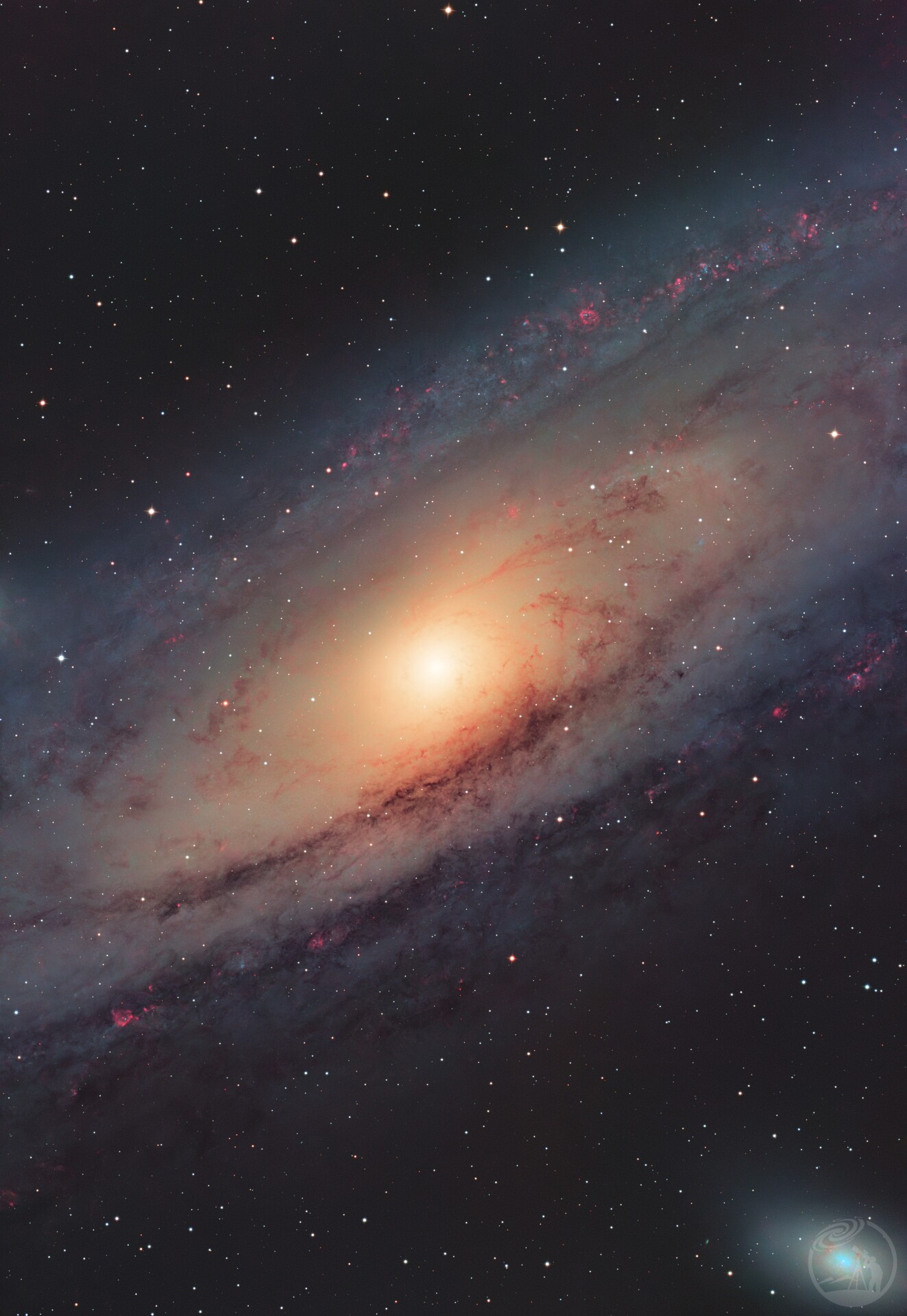 仙女之心-三通&小红花版