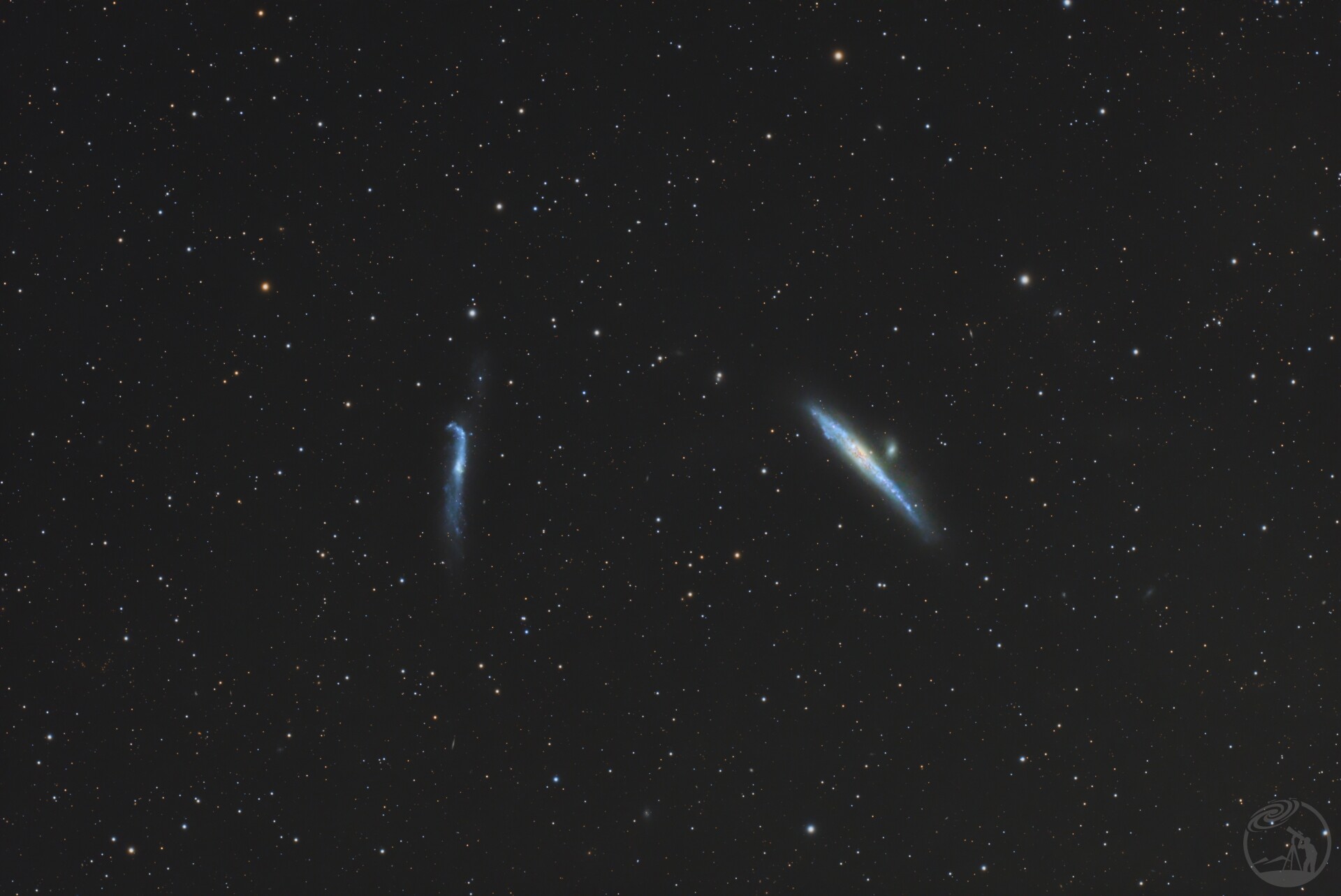 打野鲸鱼与撬棍星系