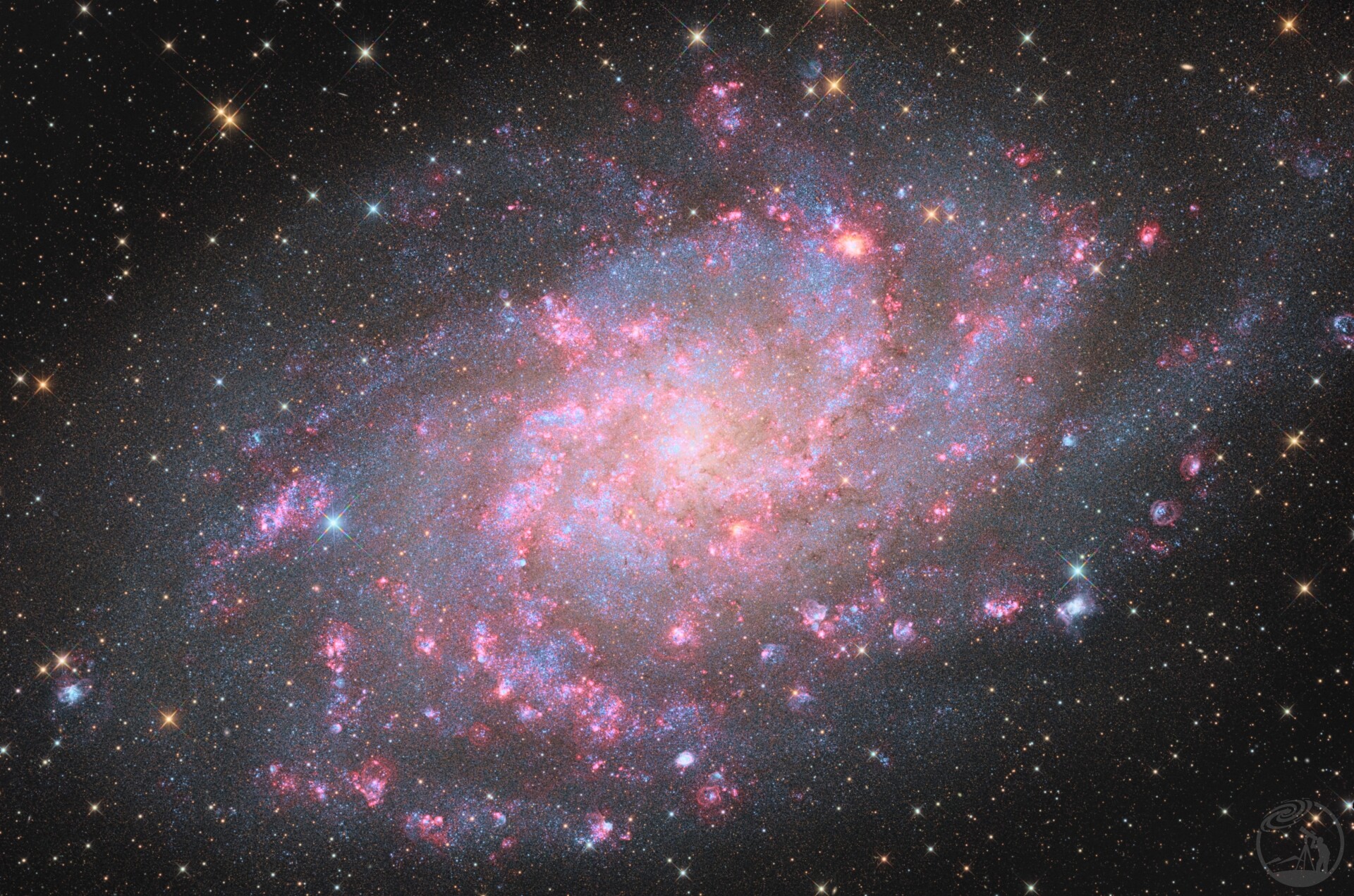 M33