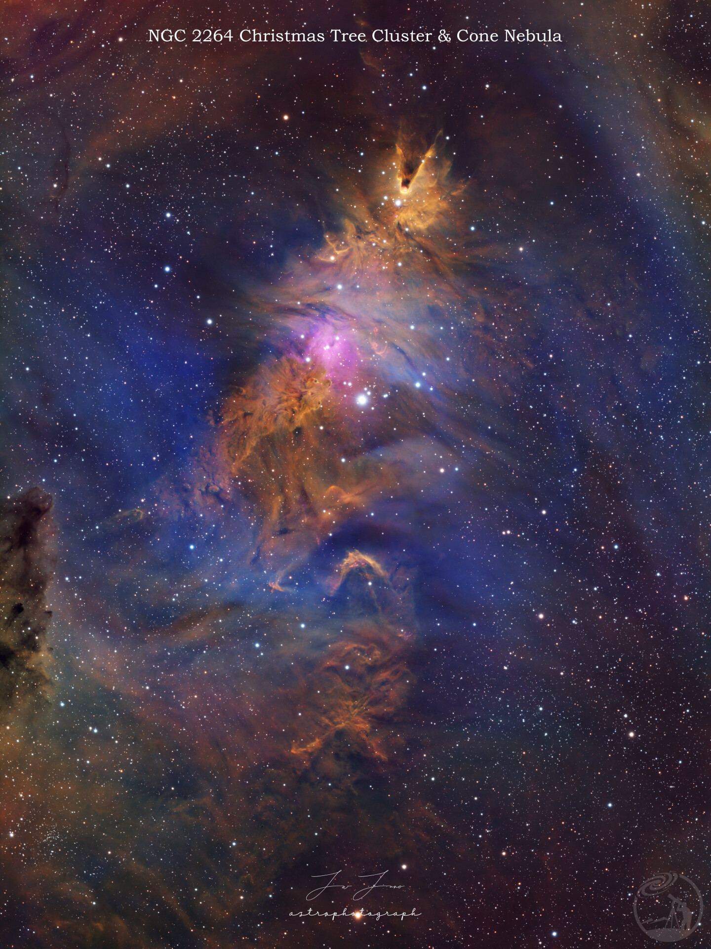 NGC 2264 圣诞树星团&锥状星云