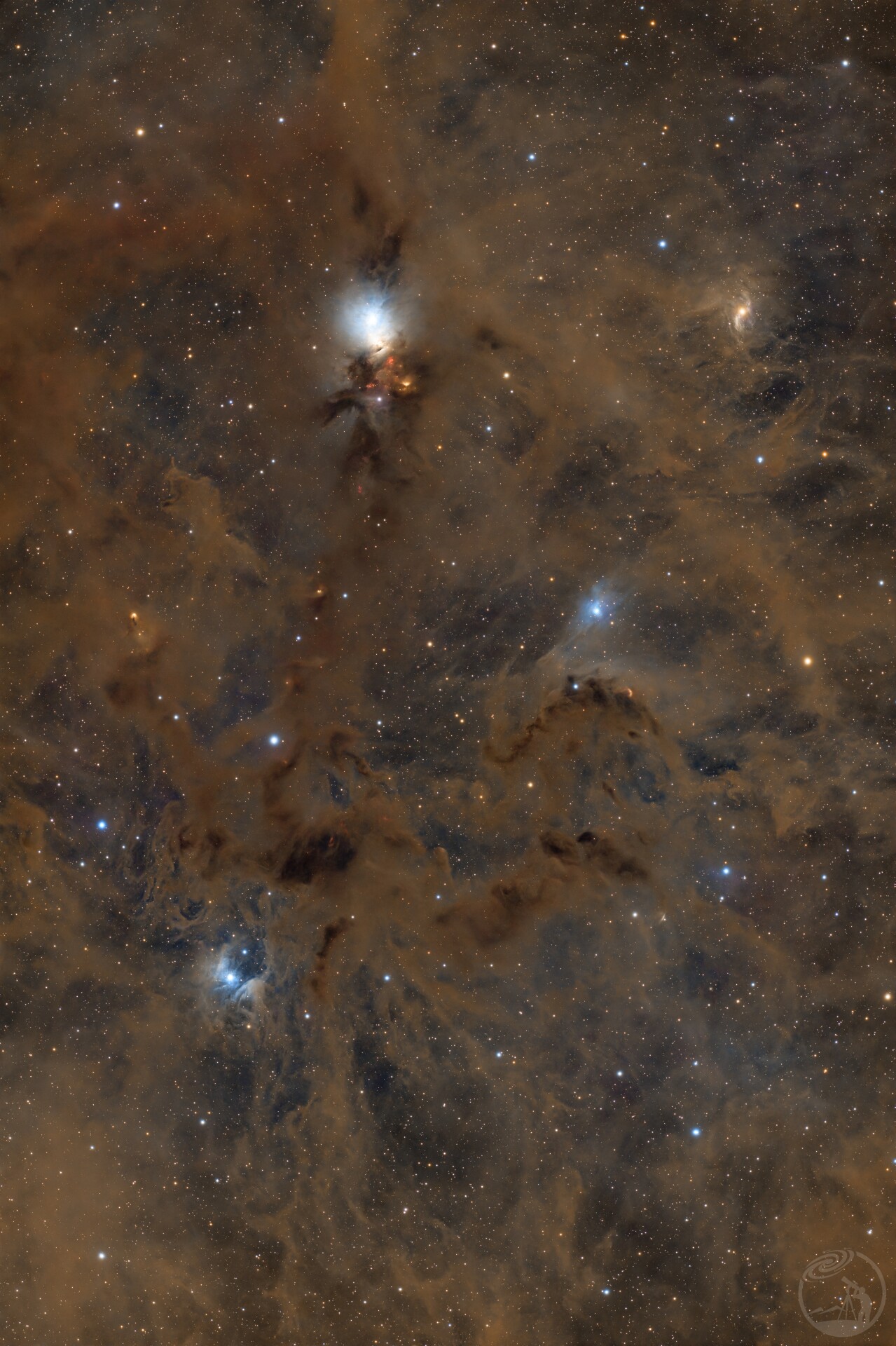 胚胎星云超级快餐