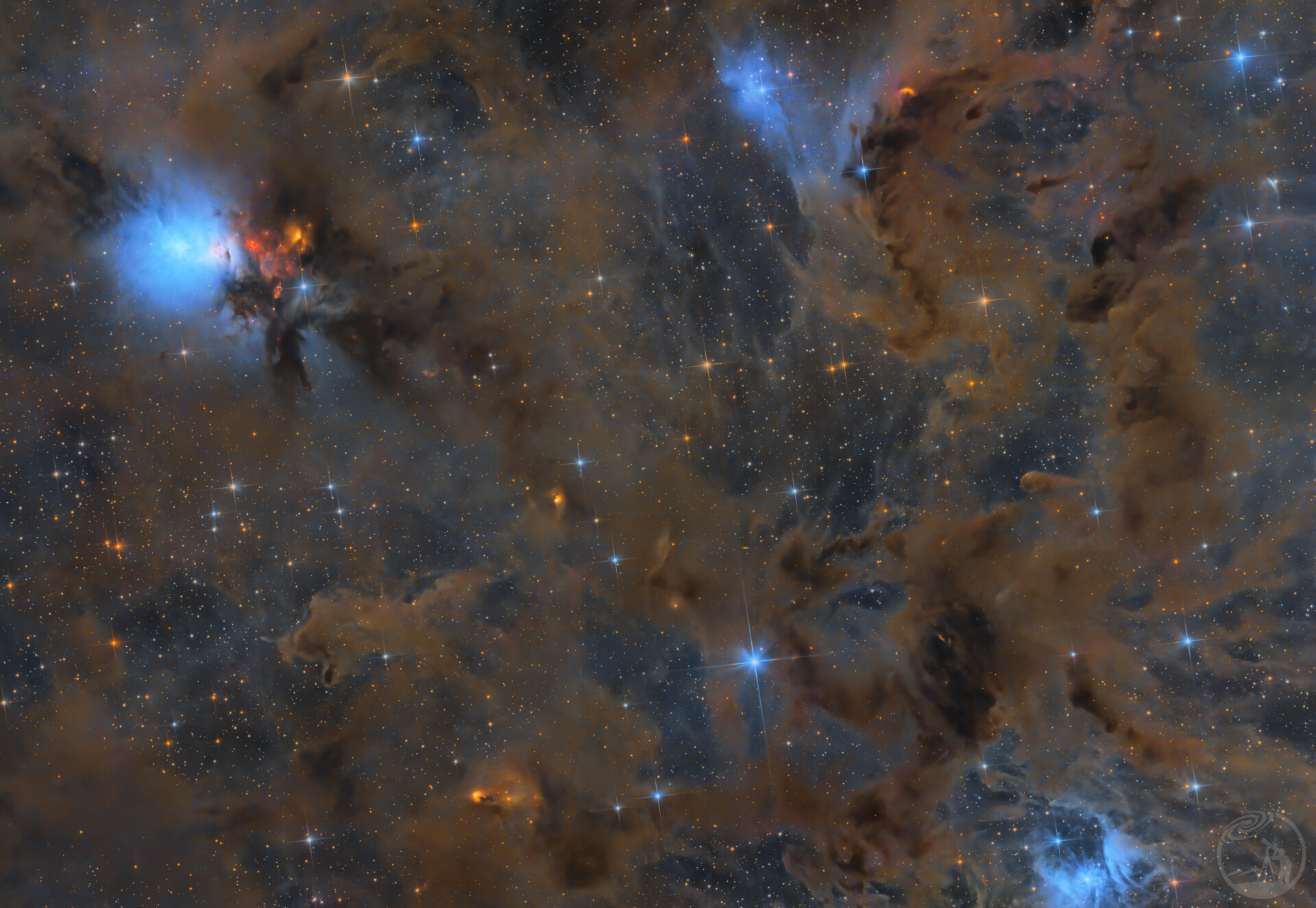 16小时打野胚胎星云