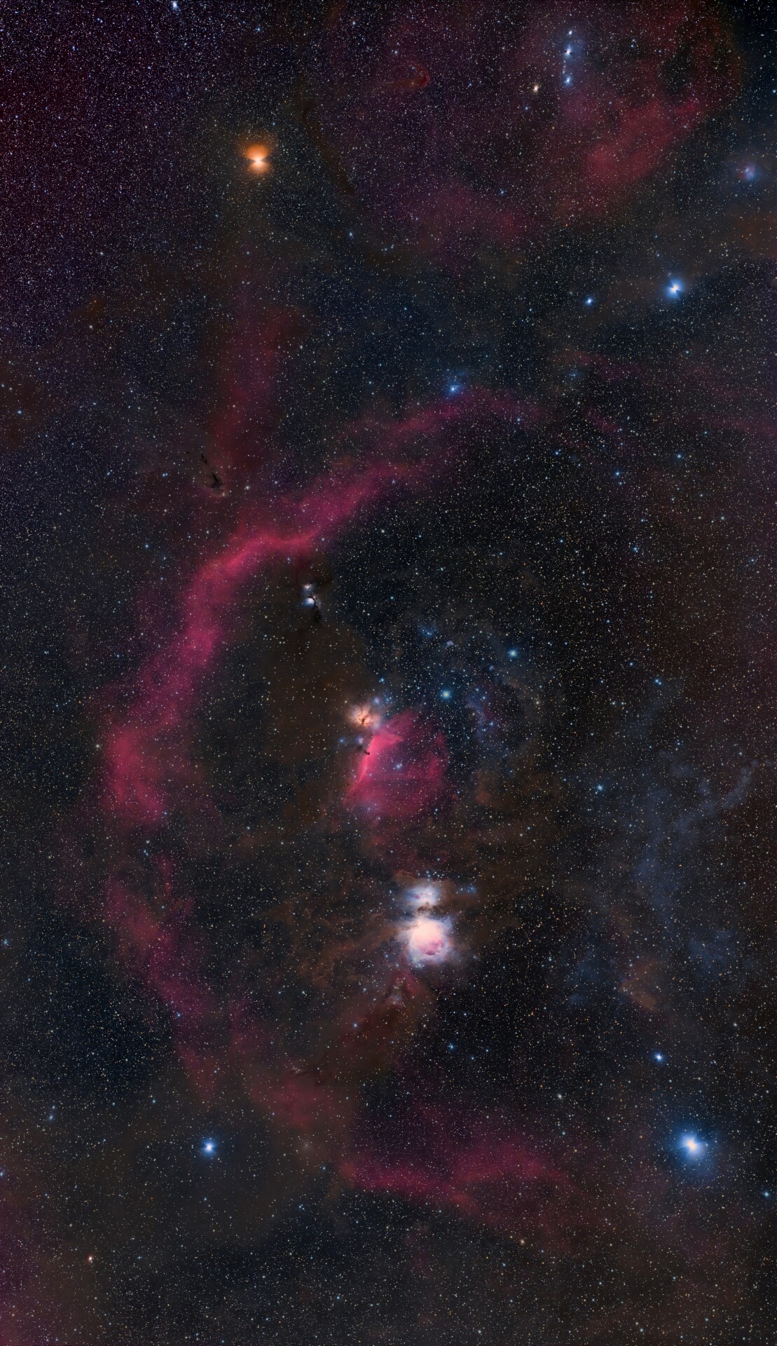 猎户座巴纳德环