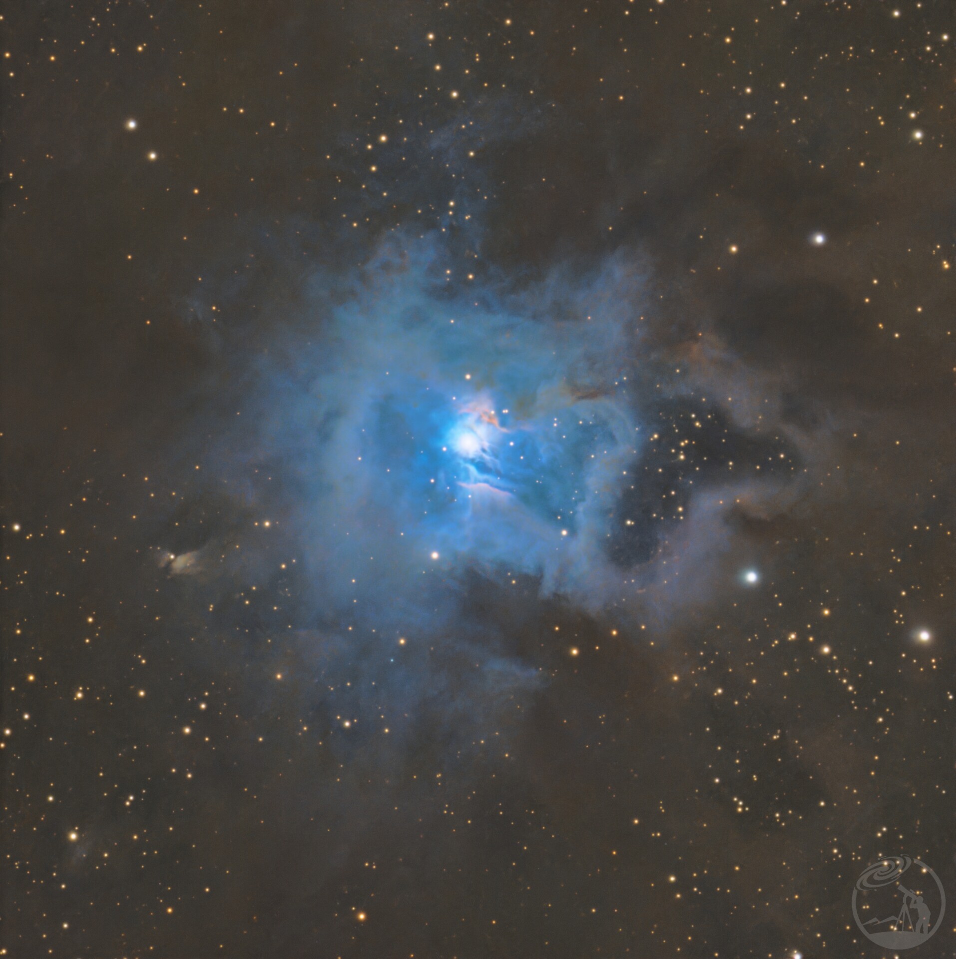 鸢尾花星云特写