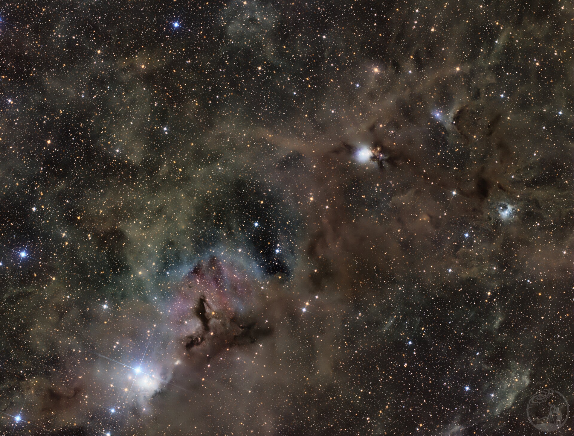 NGC1333 & The Omicron Persei Cloud | 舔舐新生