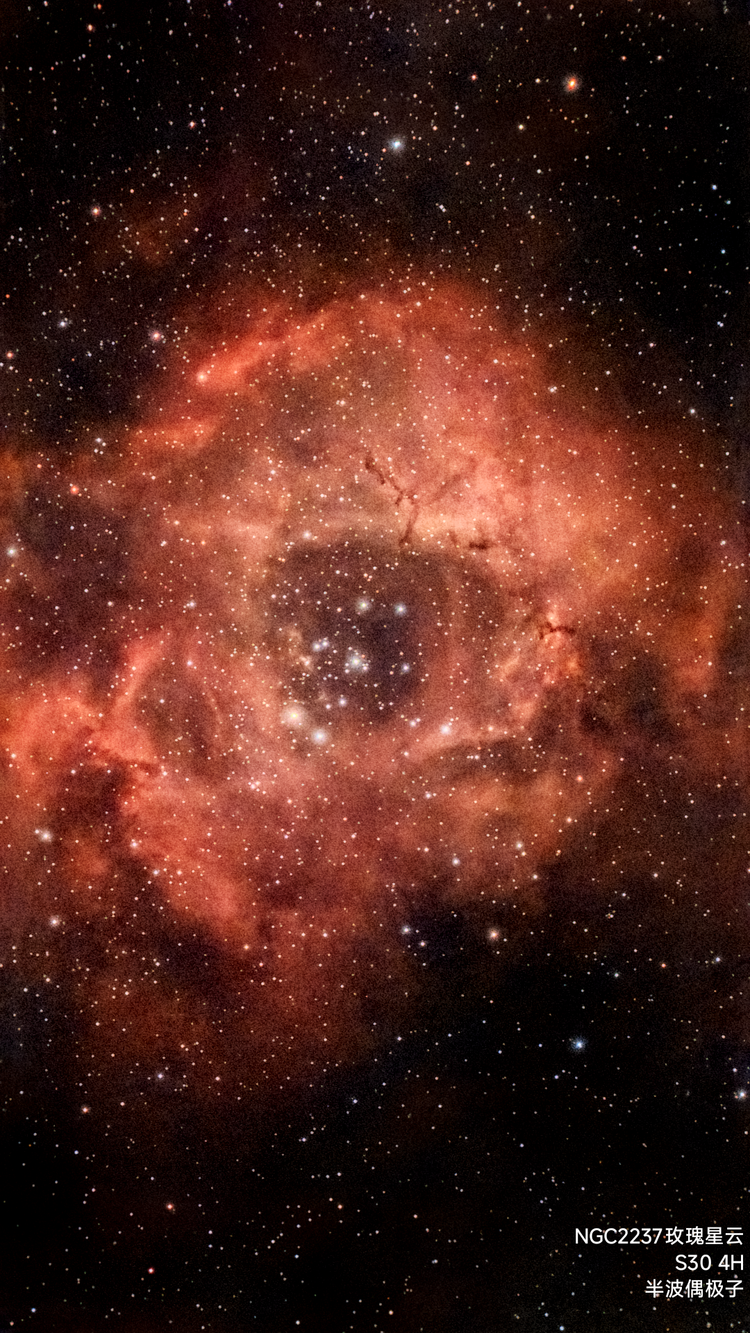 玫瑰星云s30 4小时