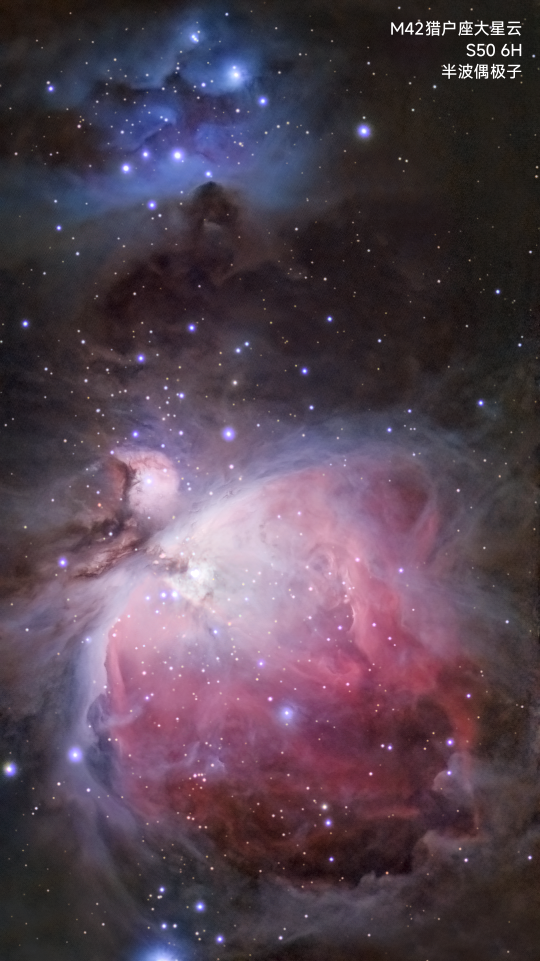 猎户座大星云s50 6小时