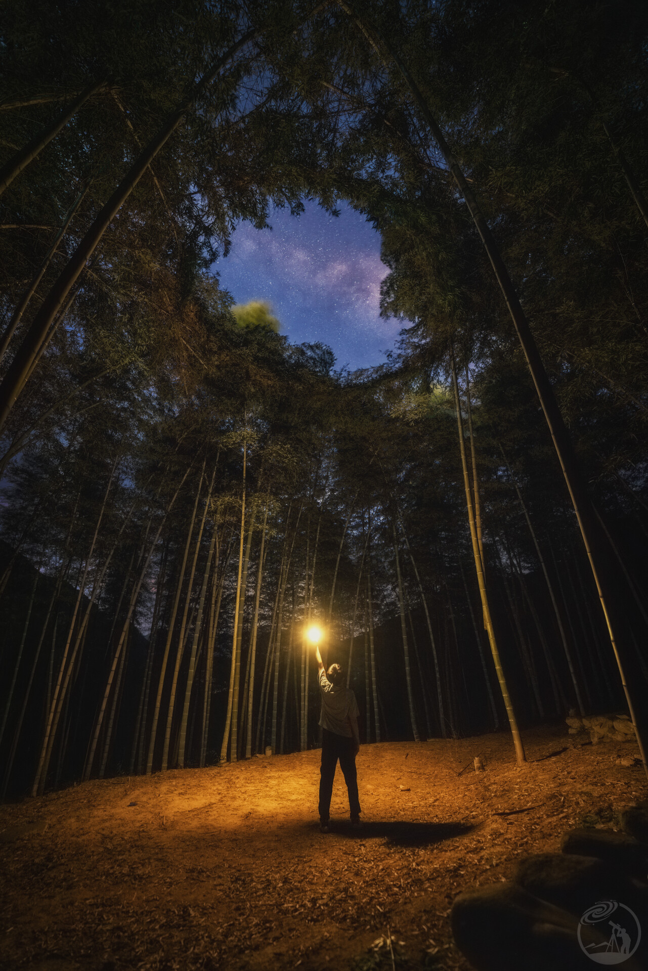 竹林里的夜行者