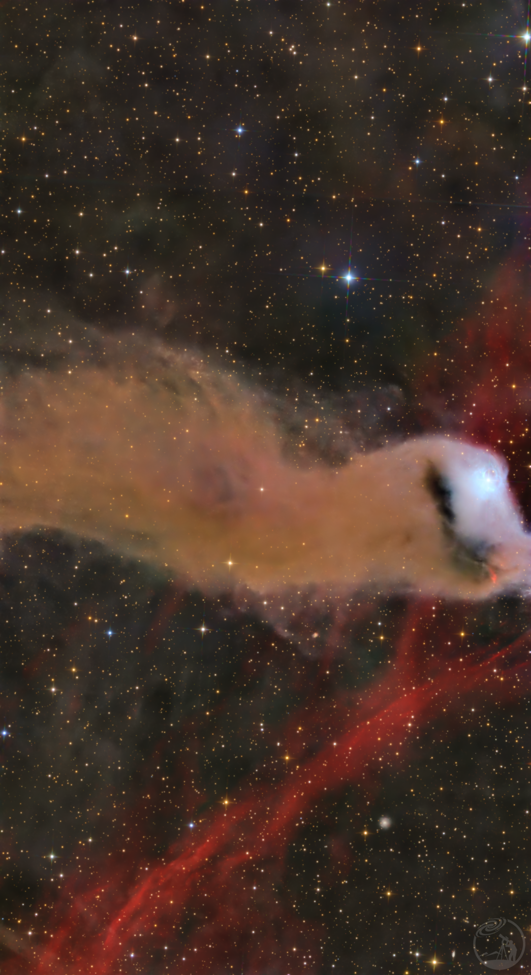 Barnard175 | 鶆鸠展翅