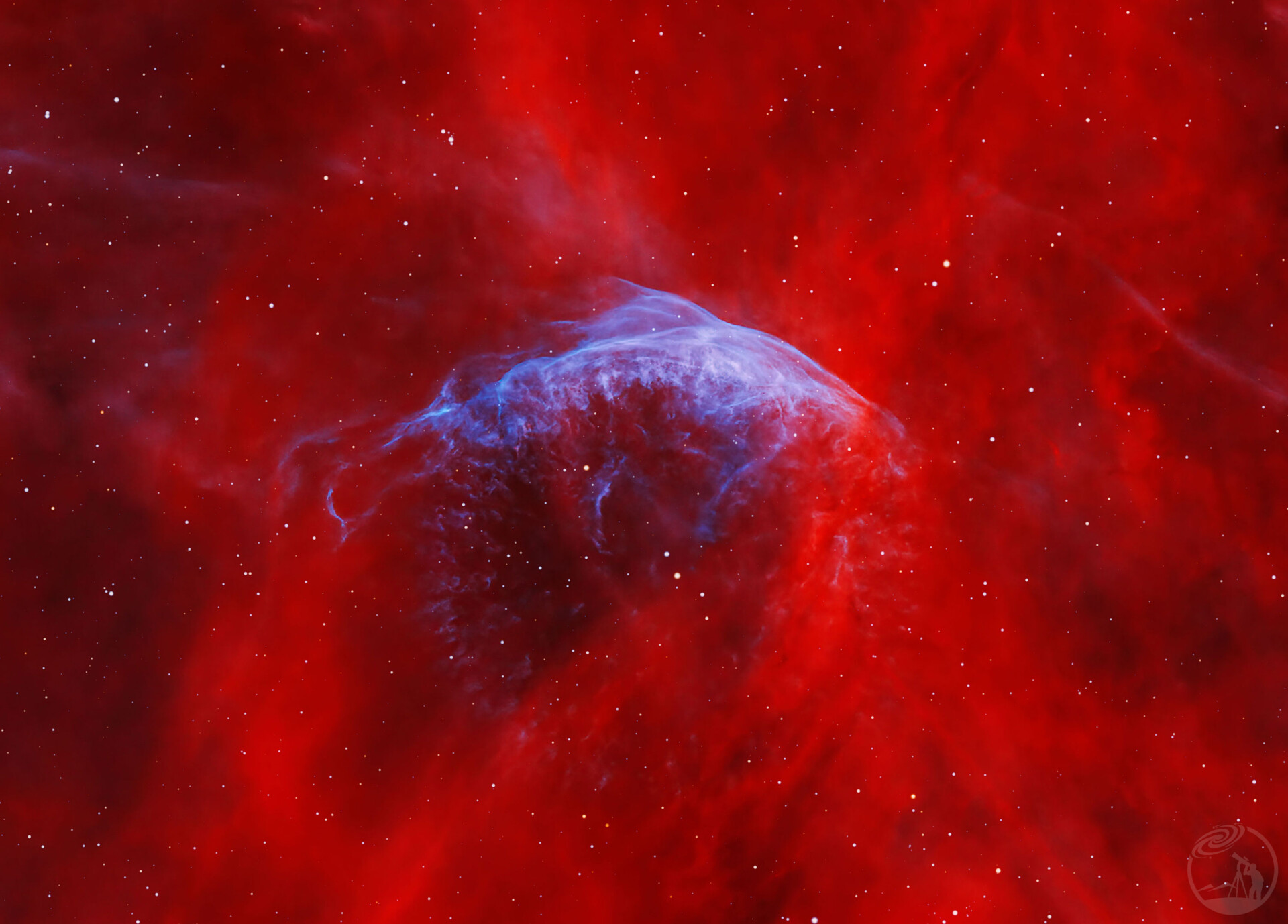 WR134(卡姿兰大眼)