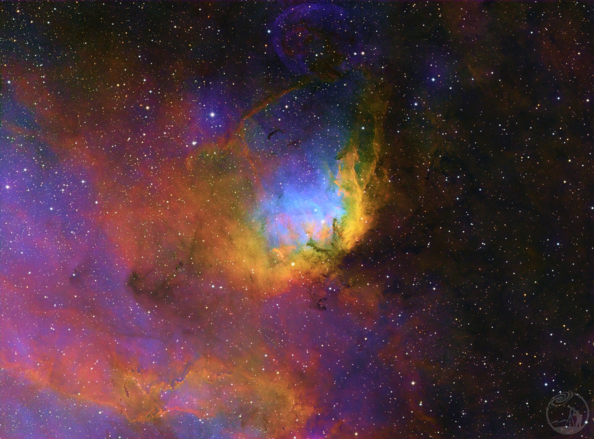 SH2-101彩色郁金香