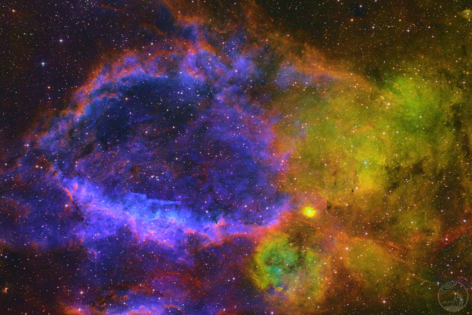 SH2-157七彩龙虾钳