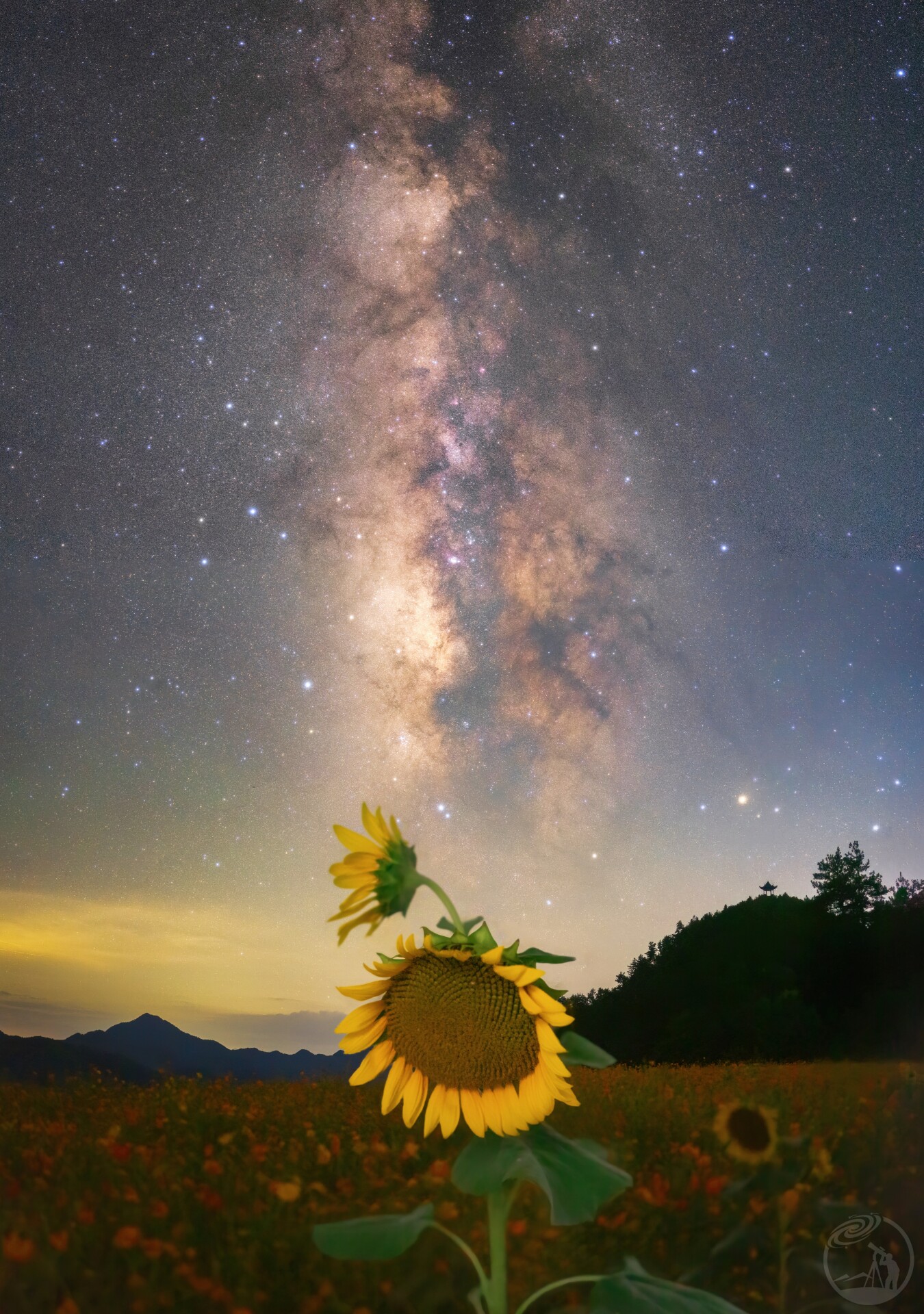 向日葵与银河