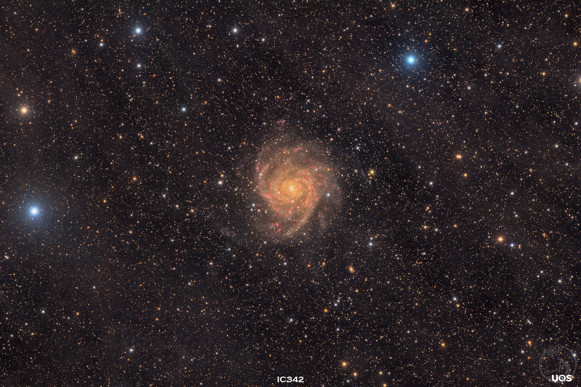 隐秘的星系 IC342