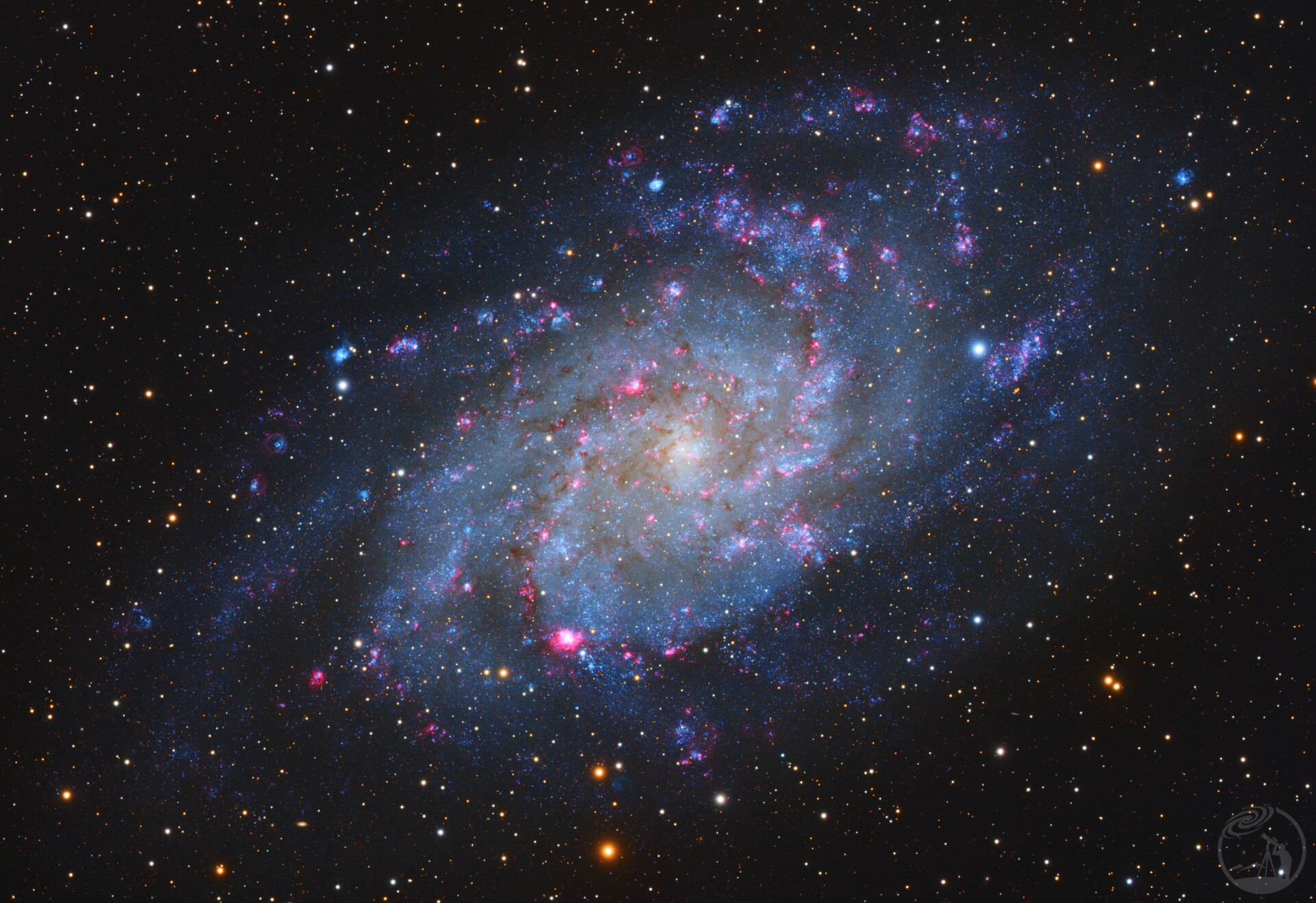 M33