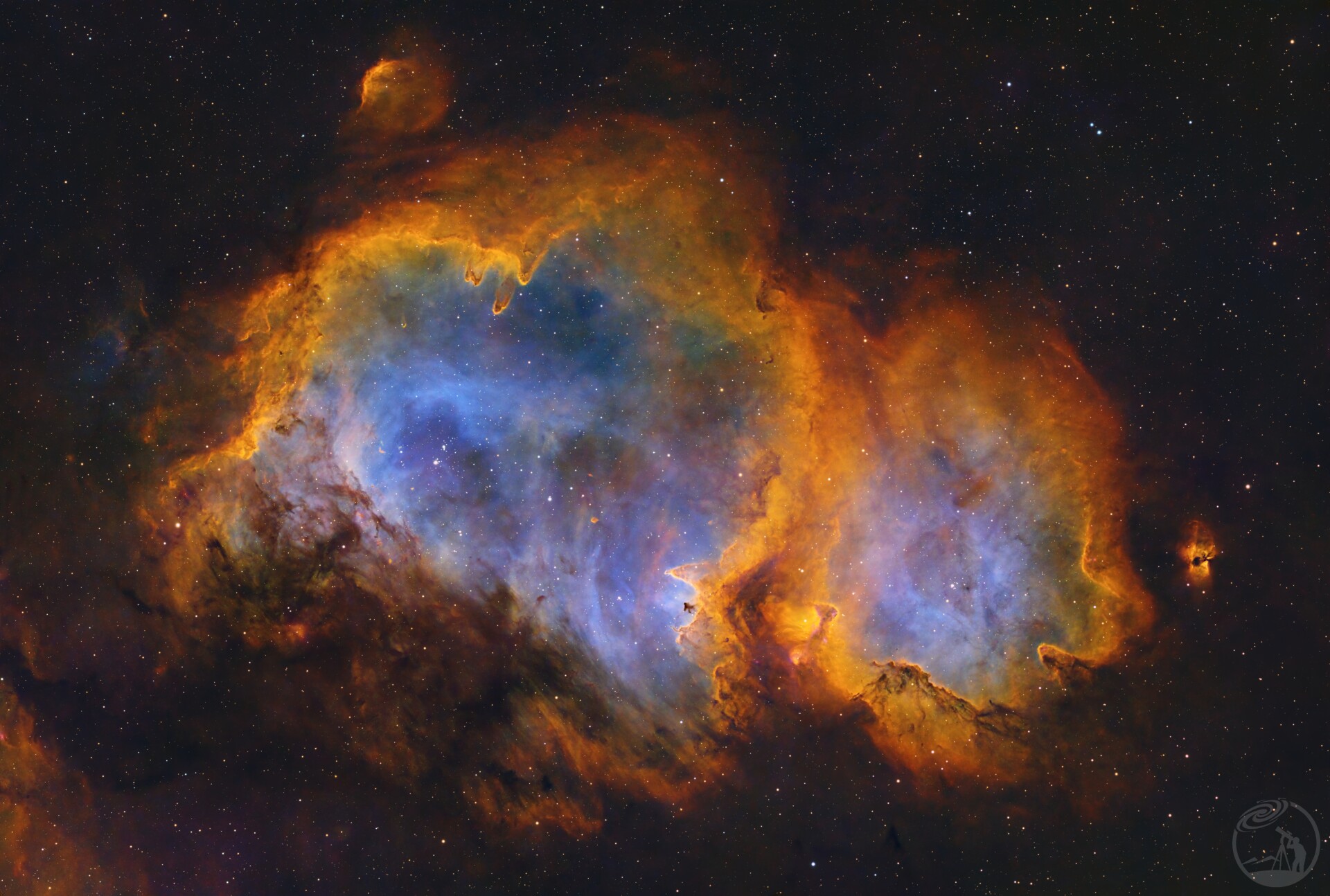 IC1848灵魂小猪仔