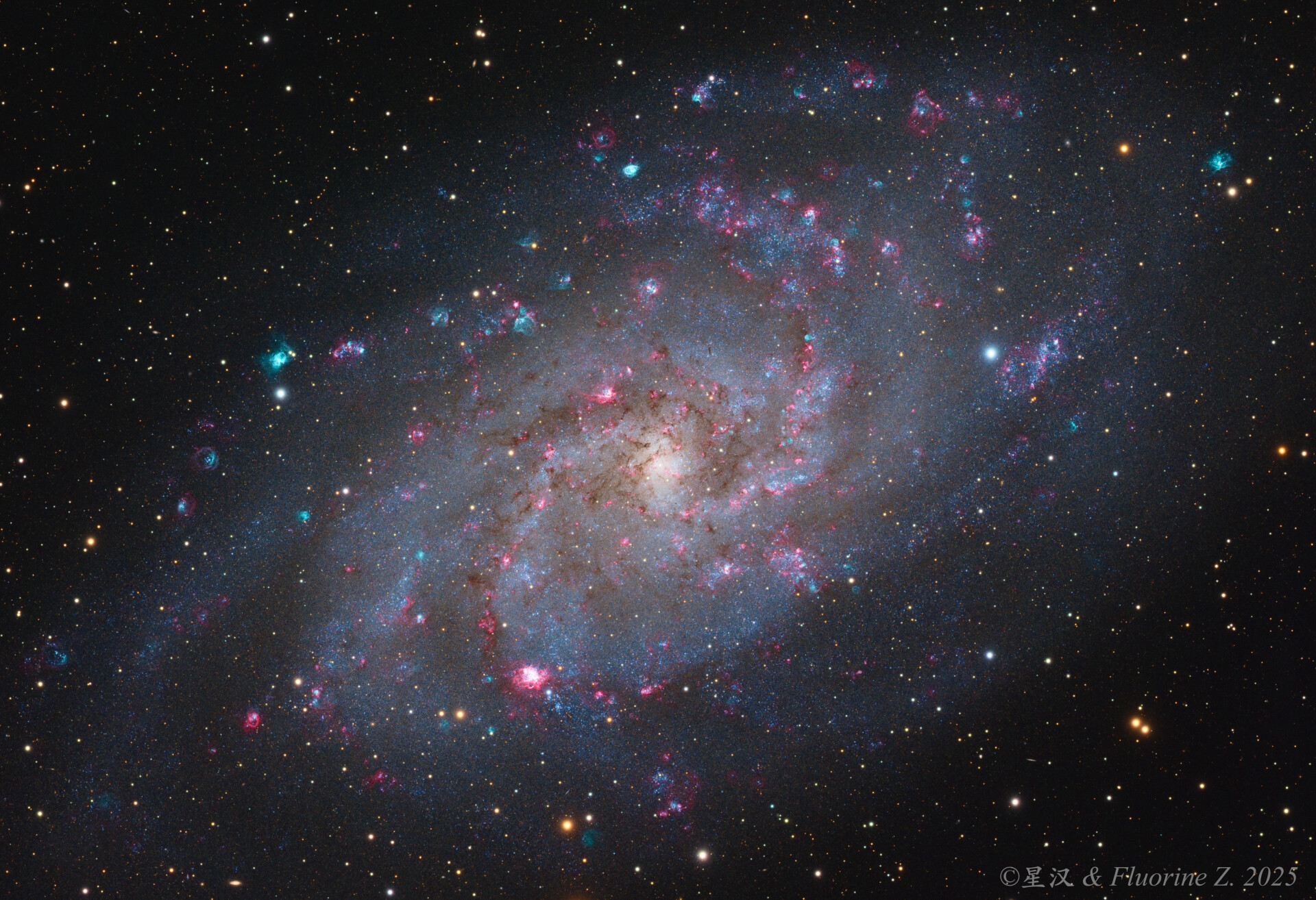 M33红花大战绿花