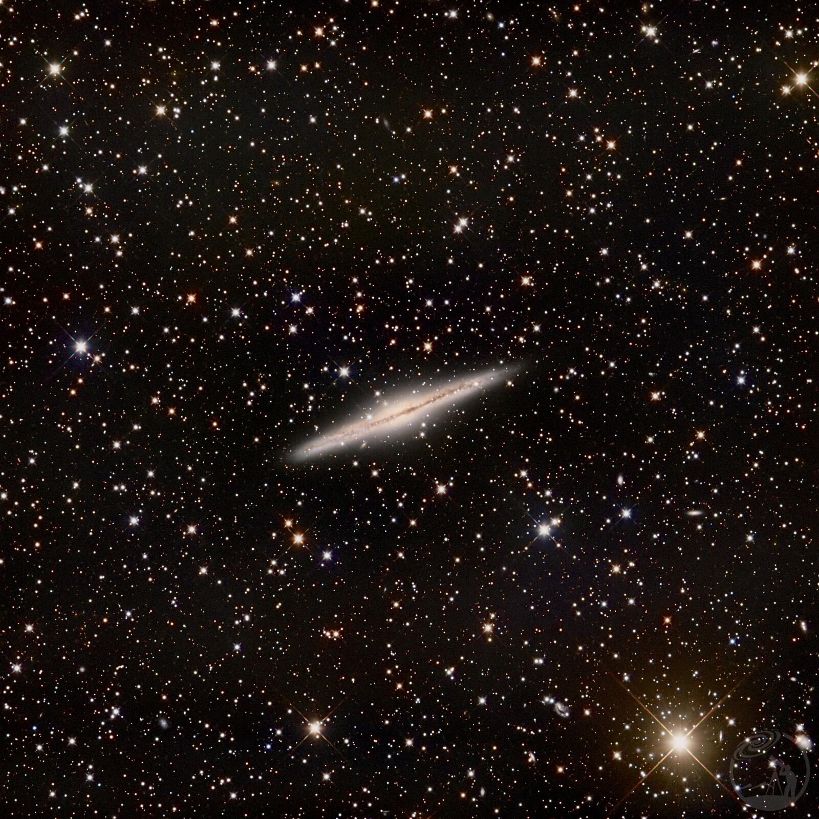 NGC891