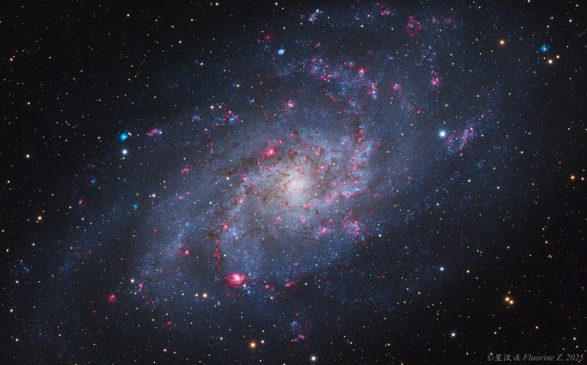 M33打死都不改版改就是小狗