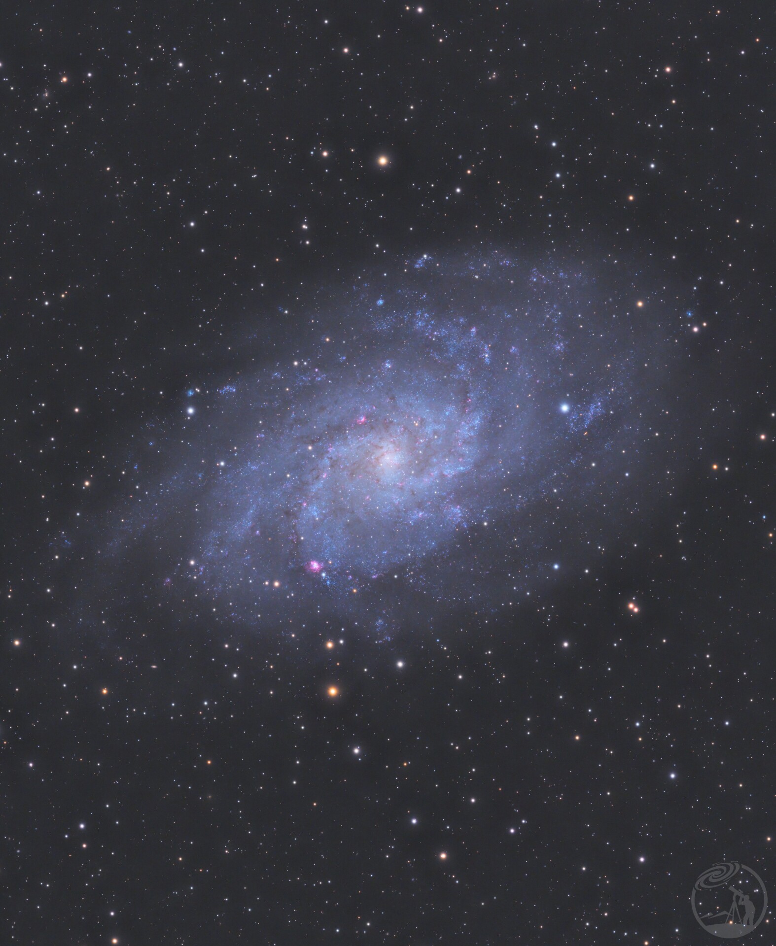 M33