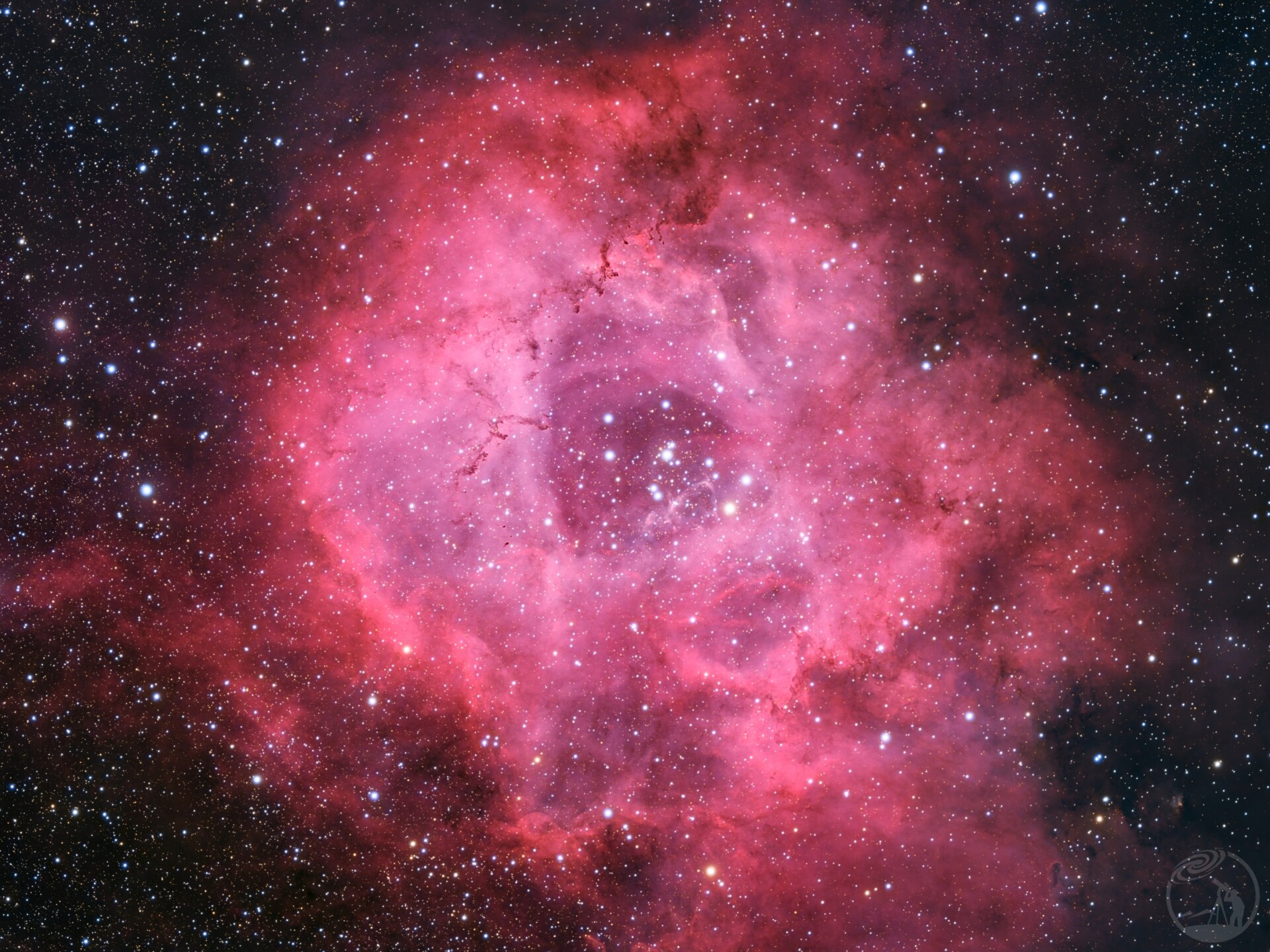 真彩玫瑰第一版