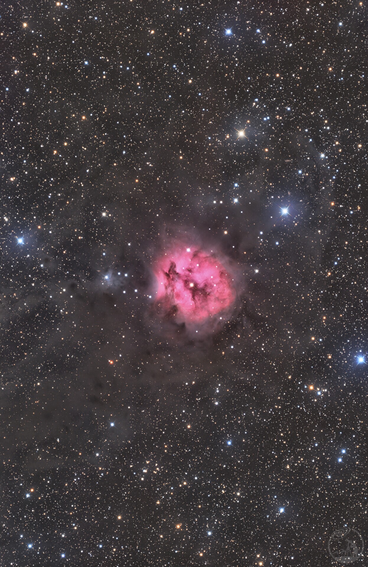 IC 5146茧星云