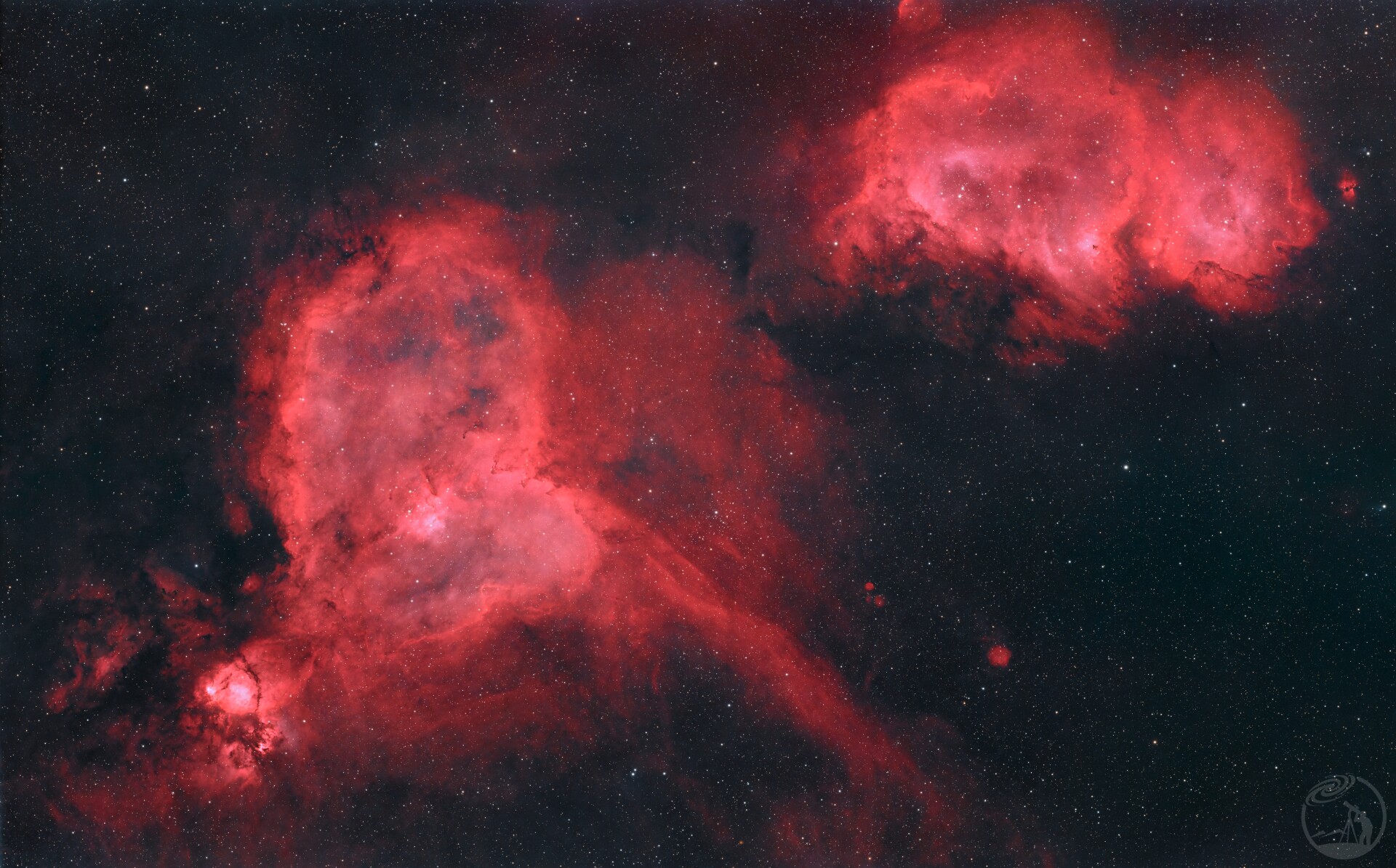 心脏与他旁边的小猪