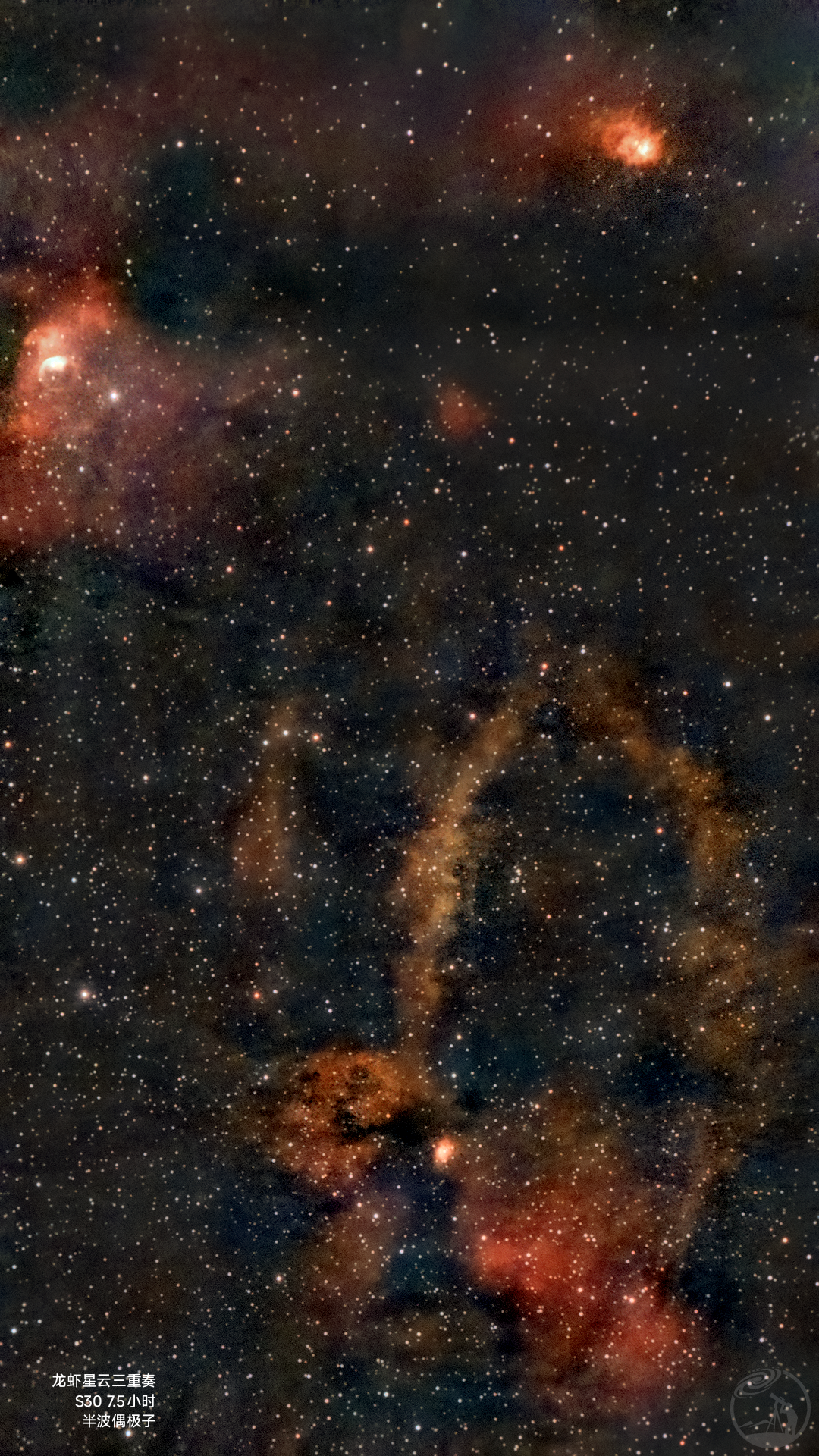 龙虾钳三重奏 s30拍摄