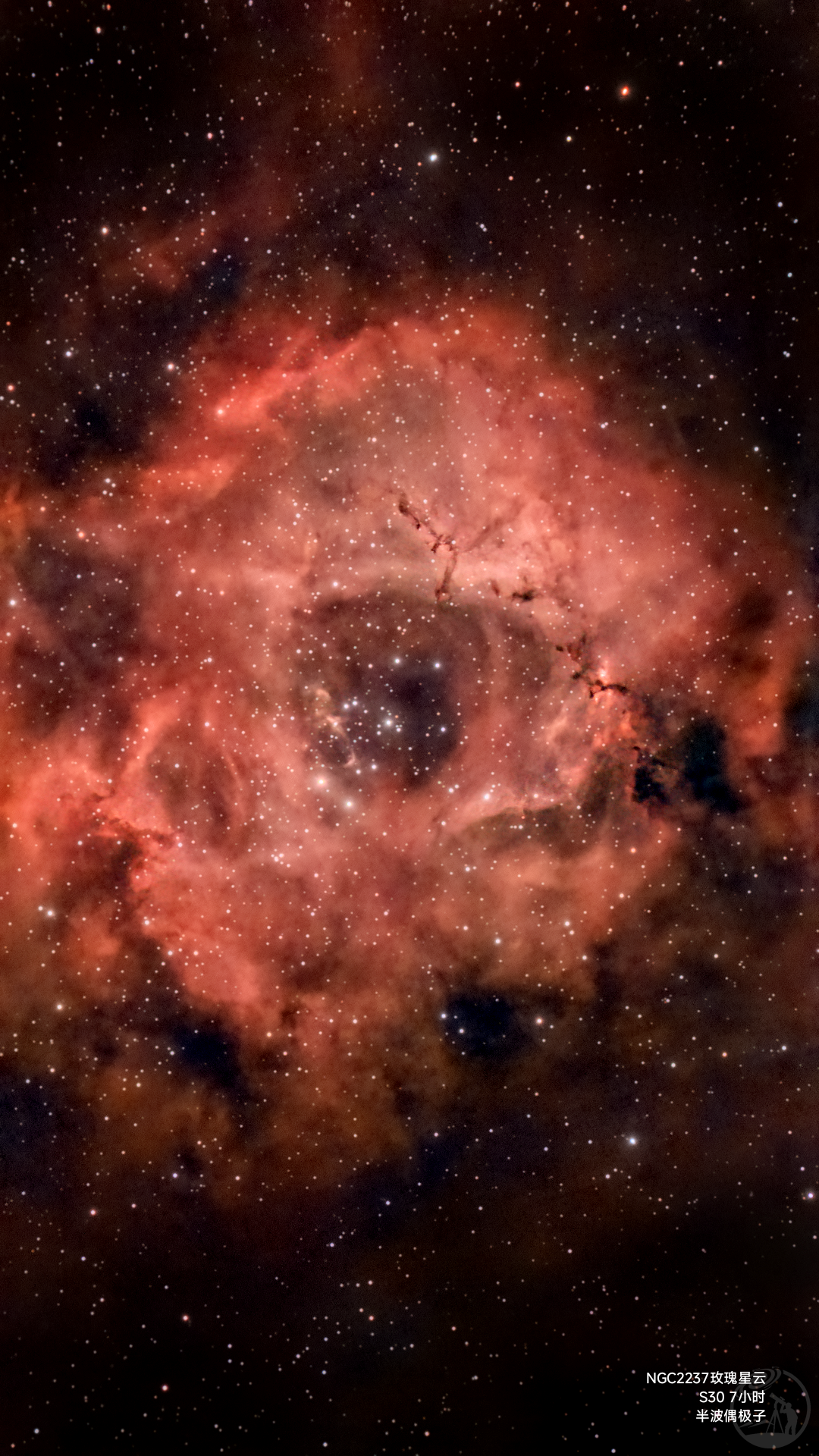 s30玫瑰星云7小时