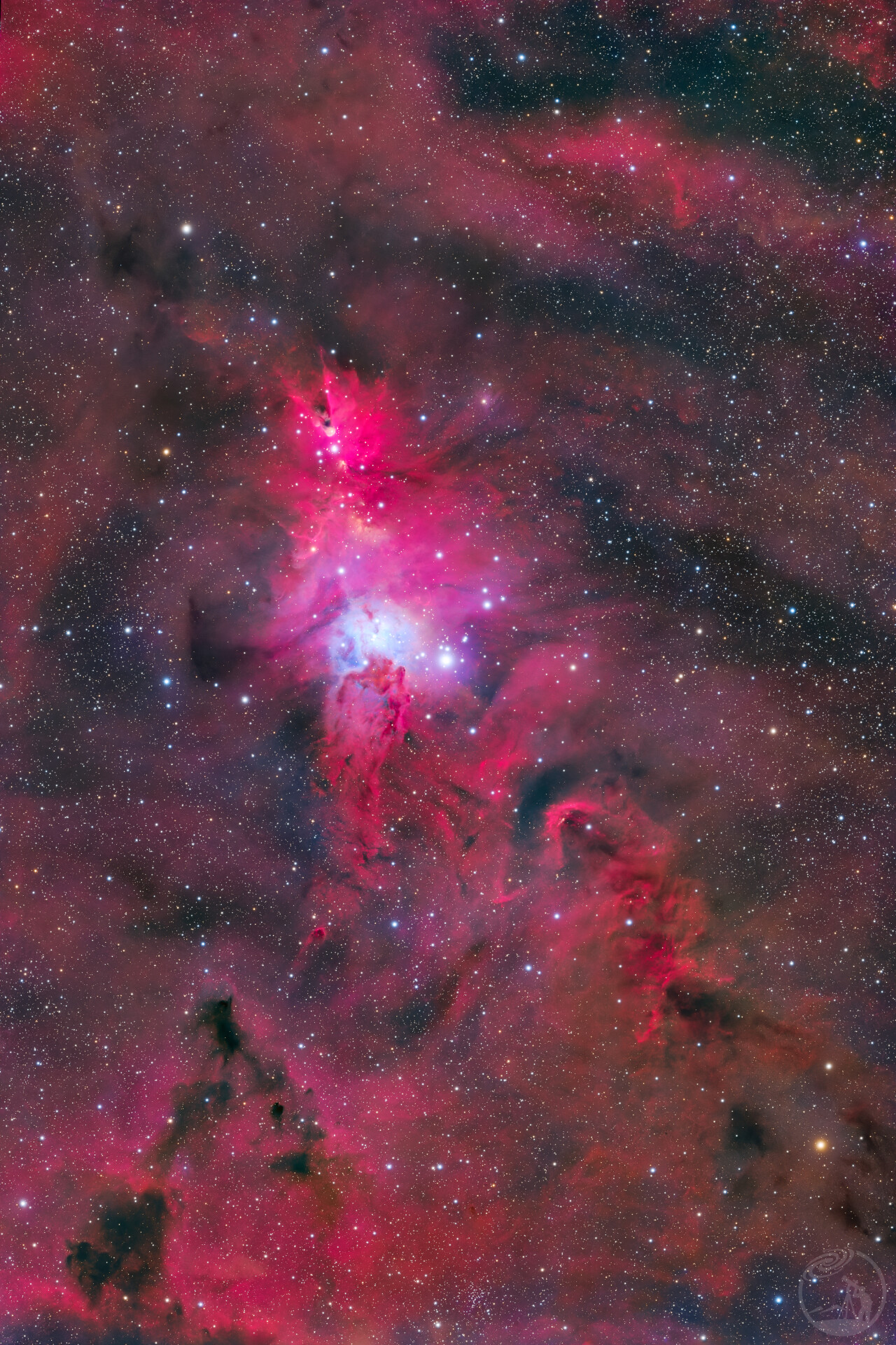 NGC 2264 圣诞树星云🎄