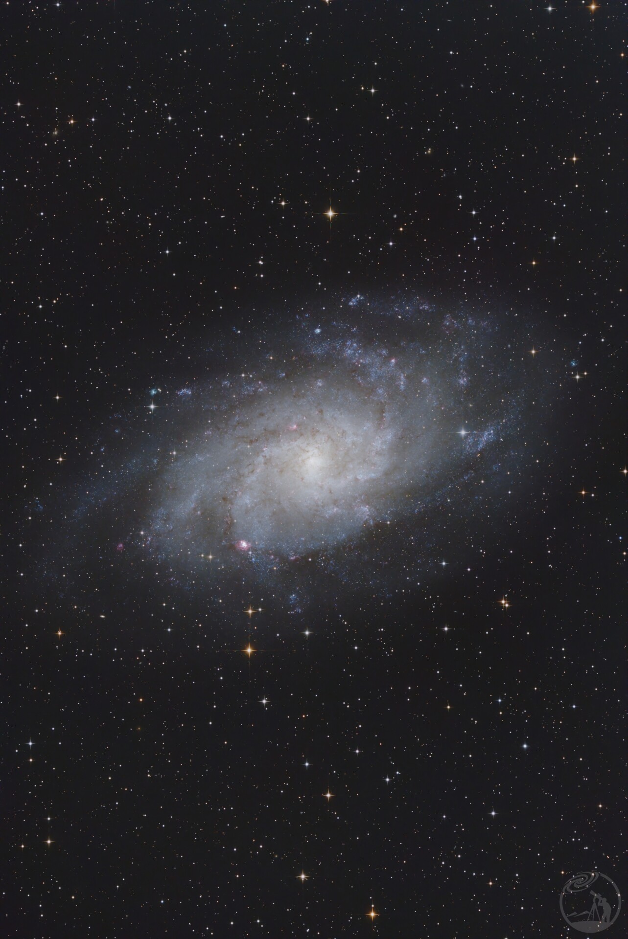 M33快餐