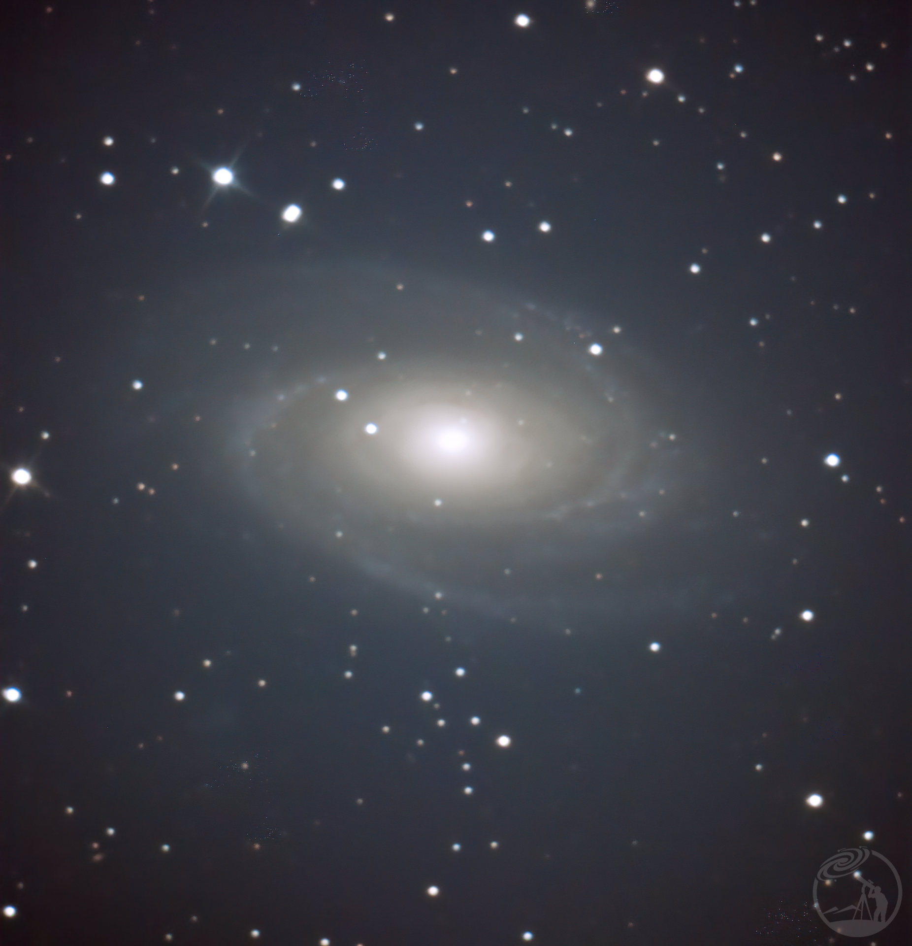 星星念念的M81星系