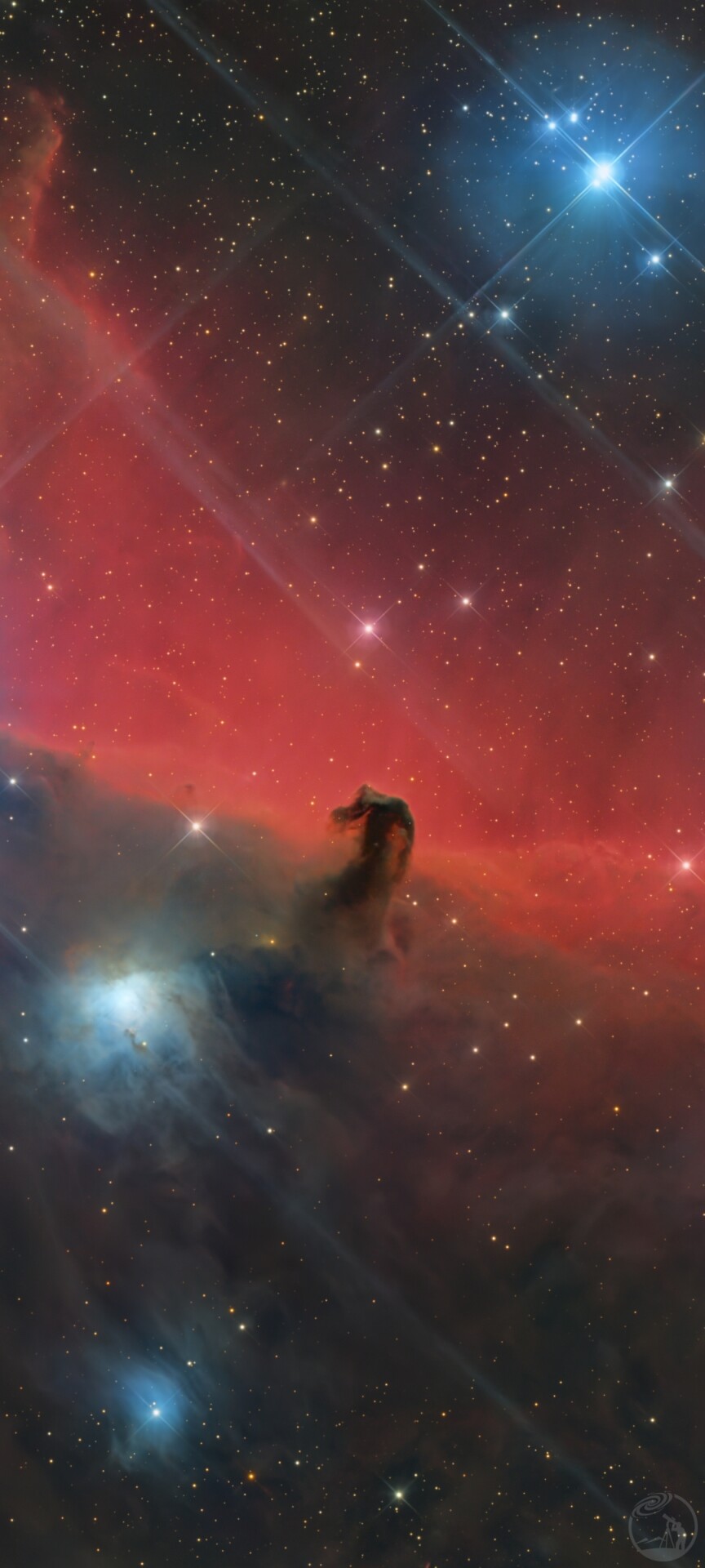 7小时打野马头星云