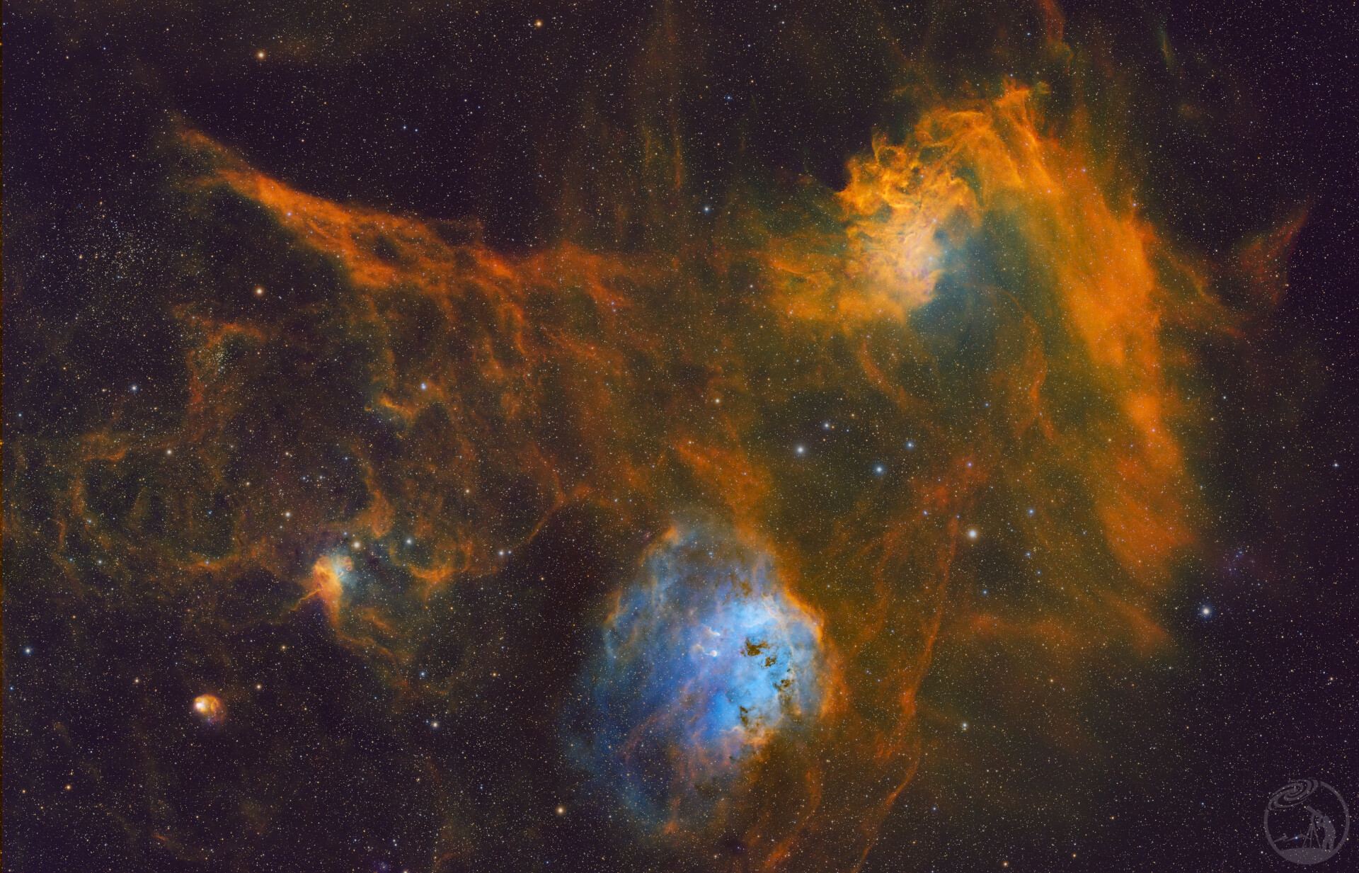 打野蝌蚪与火焰之星广域