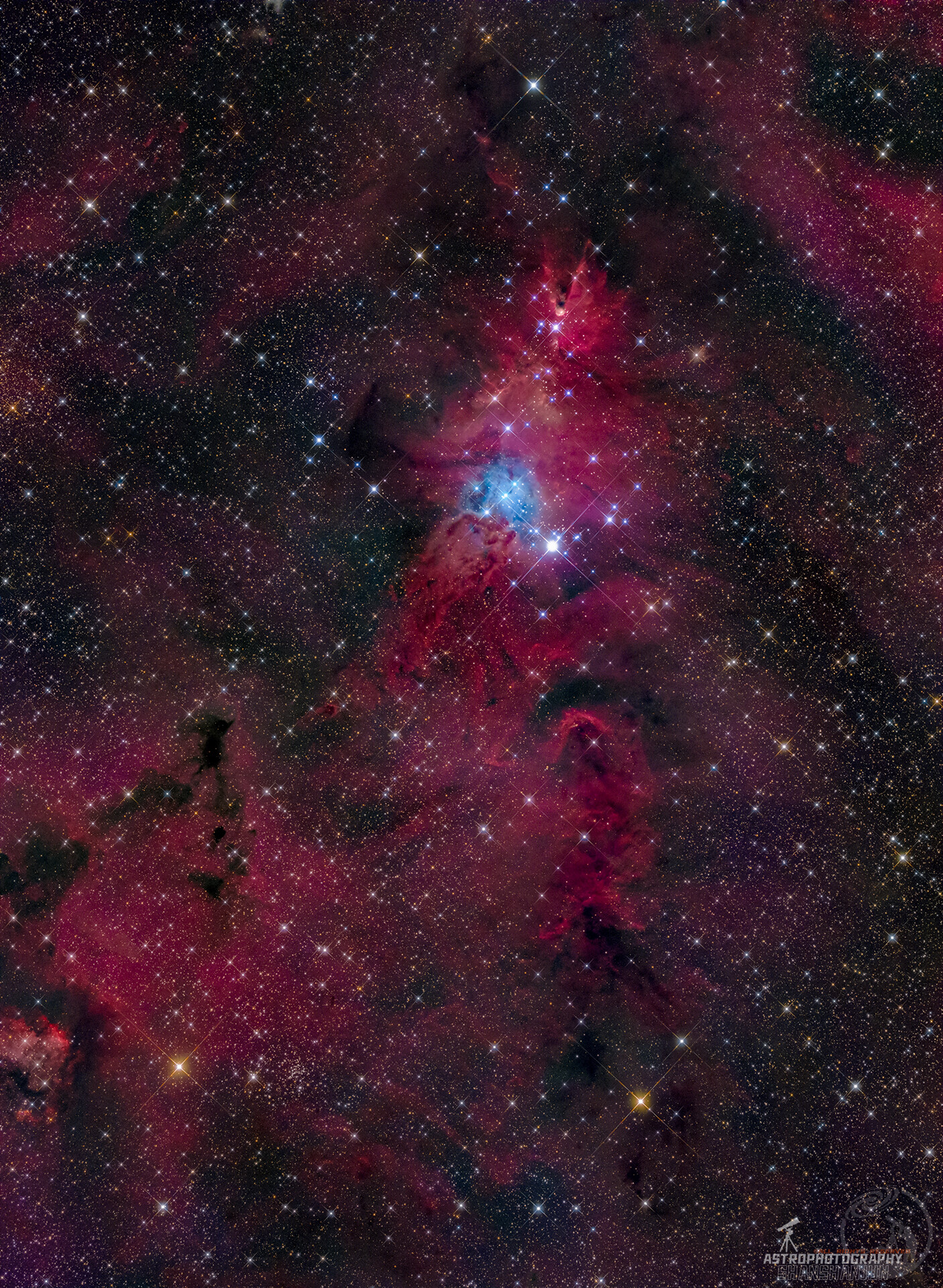 真彩圣诞树星云